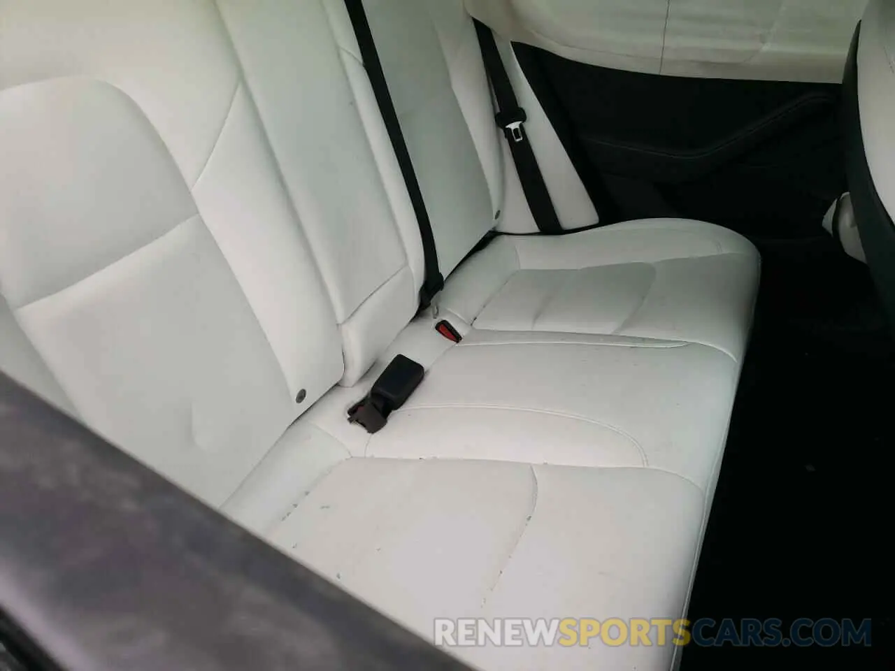 10 fotografías del automóvil dañado 5YJ3E1EA2PF462285 TESLA MODEL 3 2023