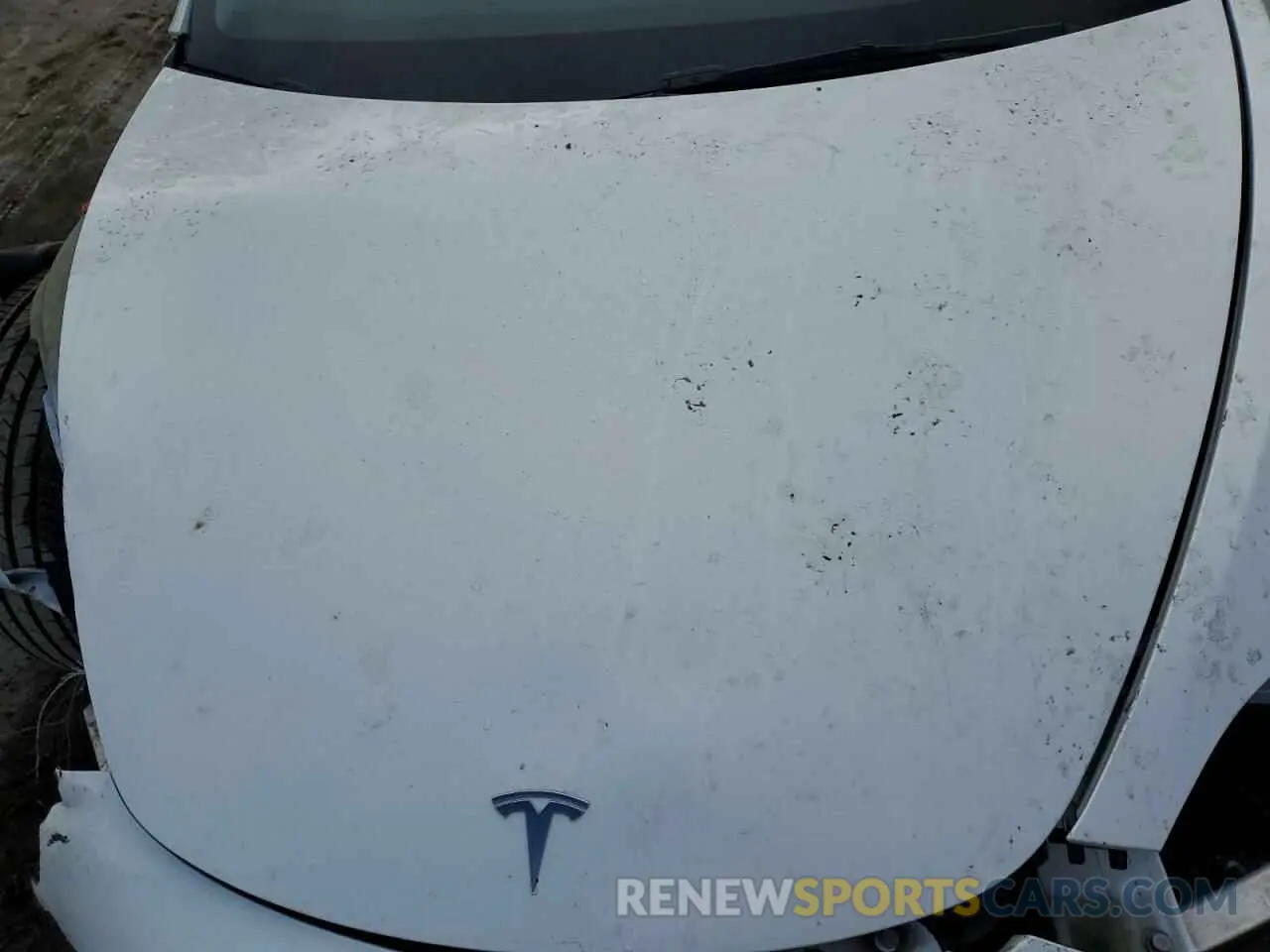 11 fotografías del automóvil dañado 5YJ3E1EA2PF463601 TESLA MODEL 3 2023