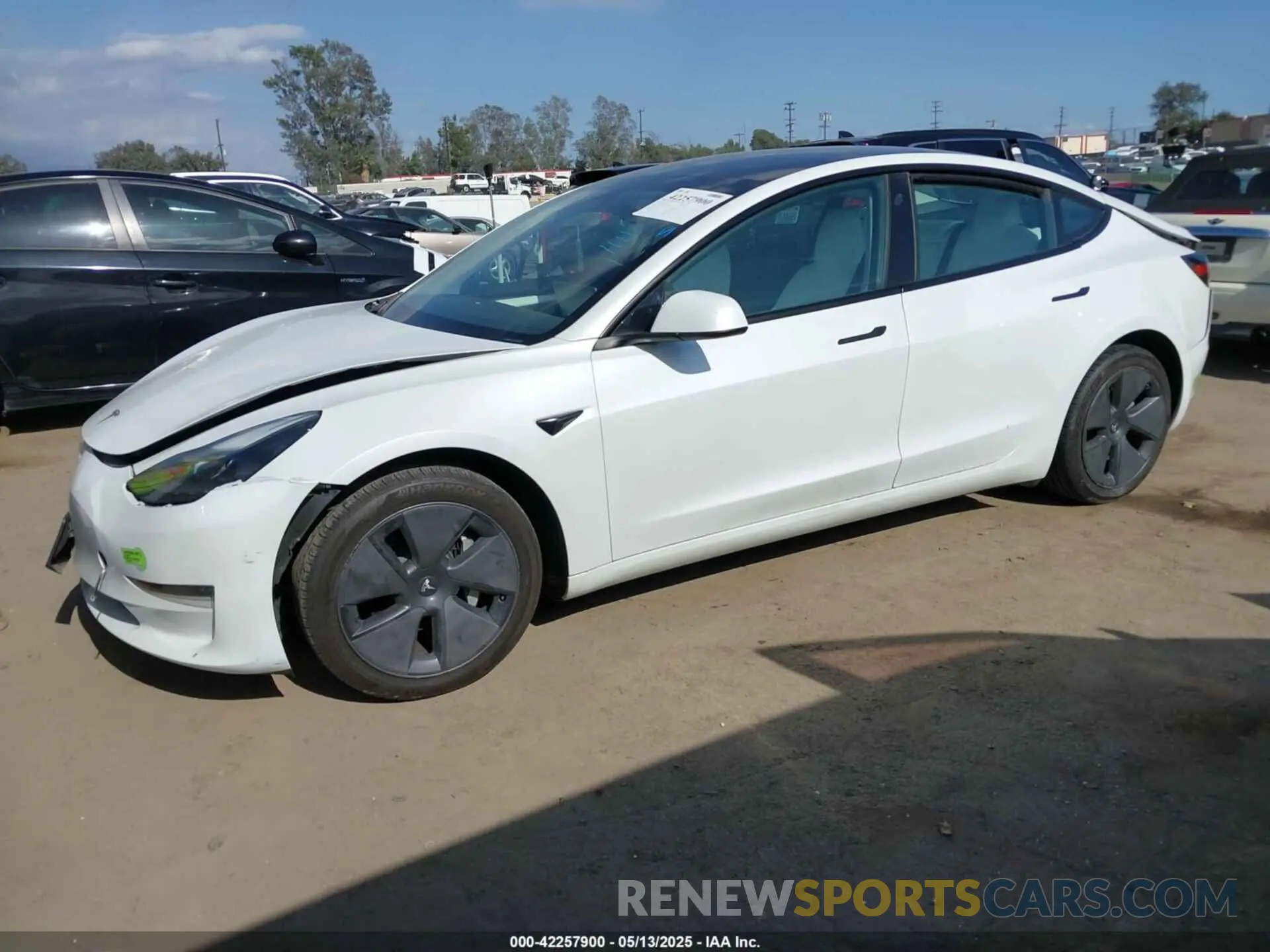 14 fotografías del automóvil dañado 5YJ3E1EA2PF465882 TESLA MODEL 3 2023