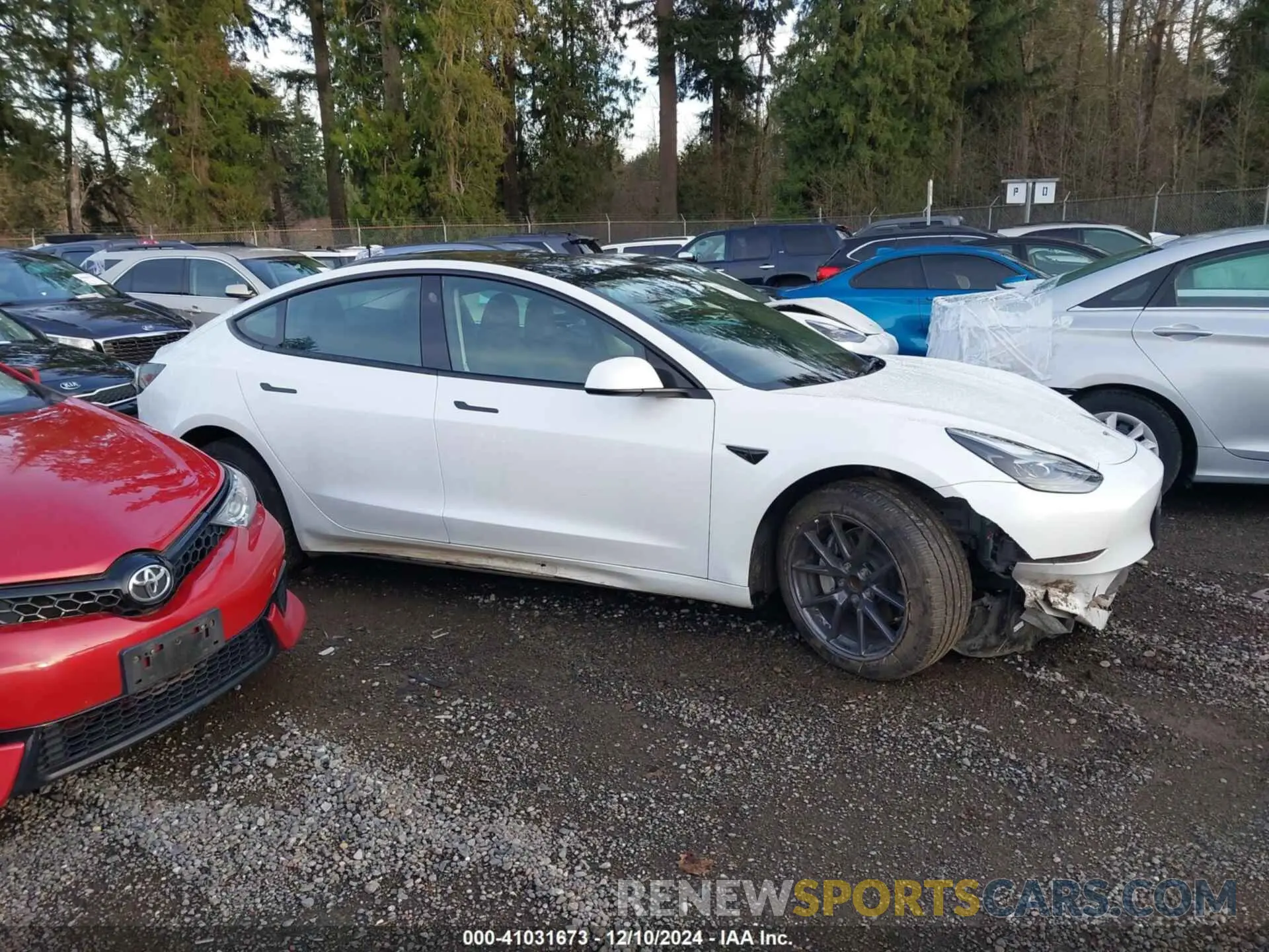 13 fotografías del automóvil dañado 5YJ3E1EA2PF474243 TESLA MODEL 3 2023