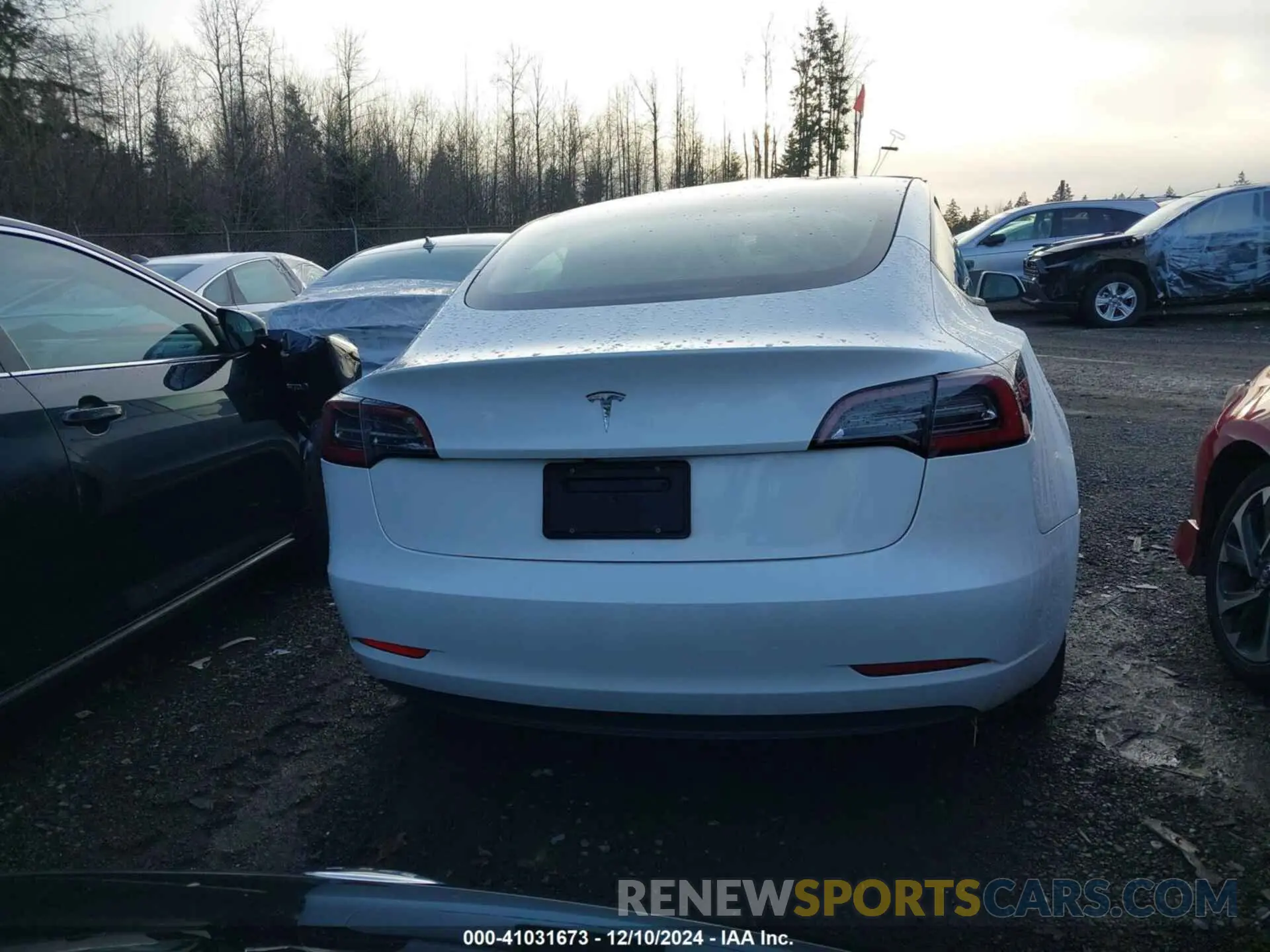 16 fotografías del automóvil dañado 5YJ3E1EA2PF474243 TESLA MODEL 3 2023