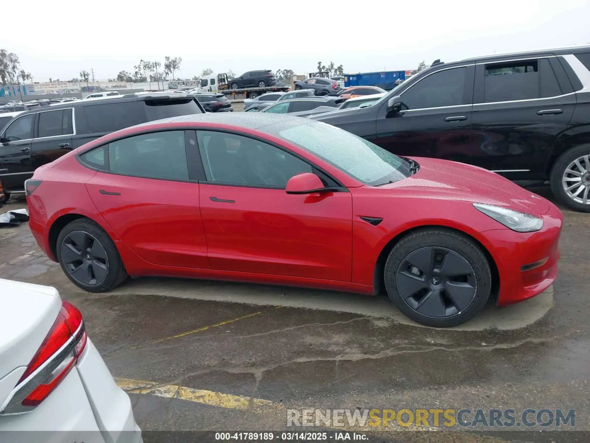 13 fotografías del automóvil dañado 5YJ3E1EA2PF476140 TESLA MODEL 3 2023