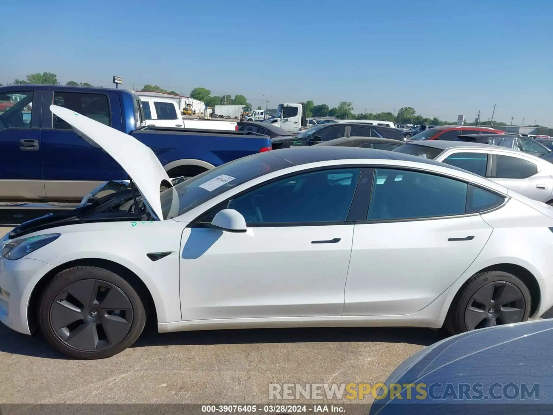 13 fotografías del automóvil dañado 5YJ3E1EA2PF492239 TESLA MODEL 3 2023