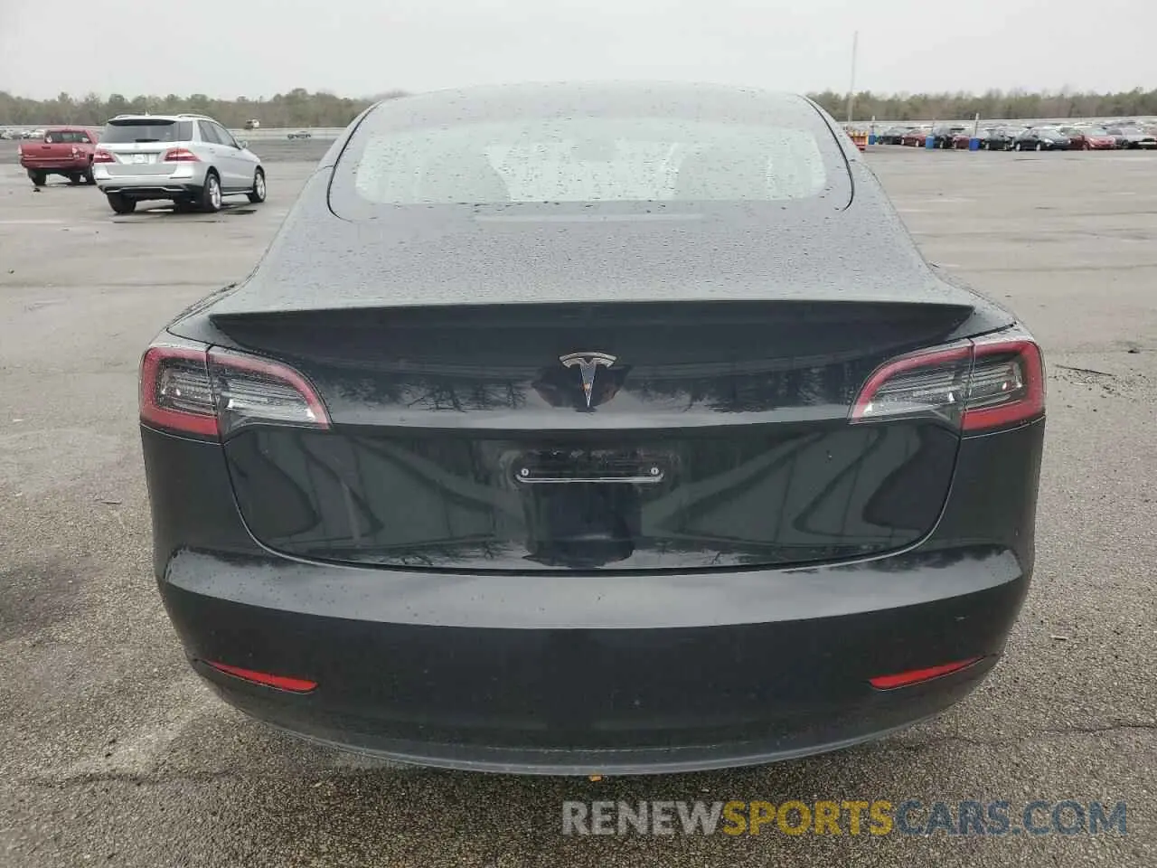6 fotografías del automóvil dañado 5YJ3E1EA2PF495321 TESLA MODEL 3 2023