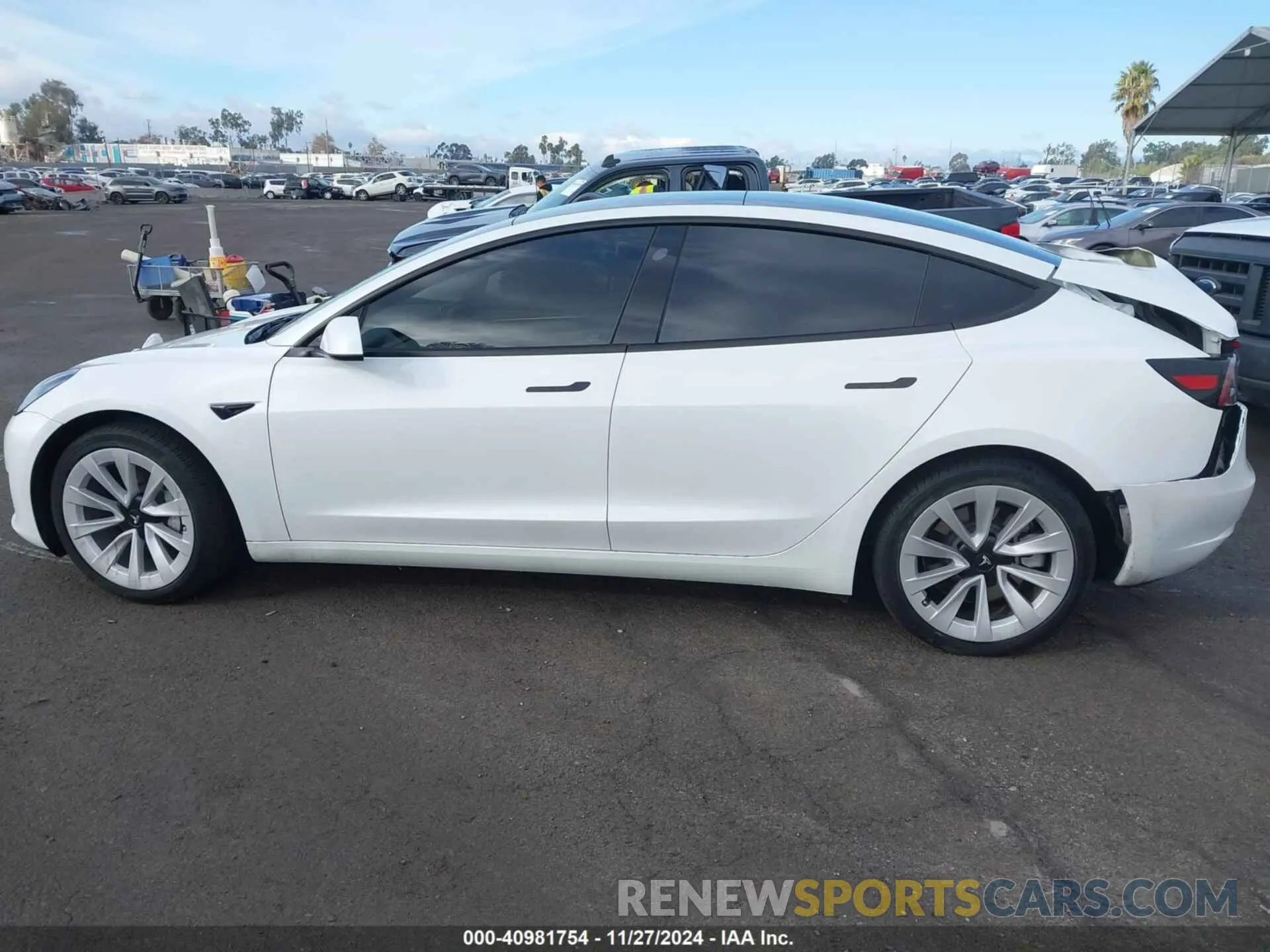14 fotografías del automóvil dañado 5YJ3E1EA2PF497425 TESLA MODEL 3 2023