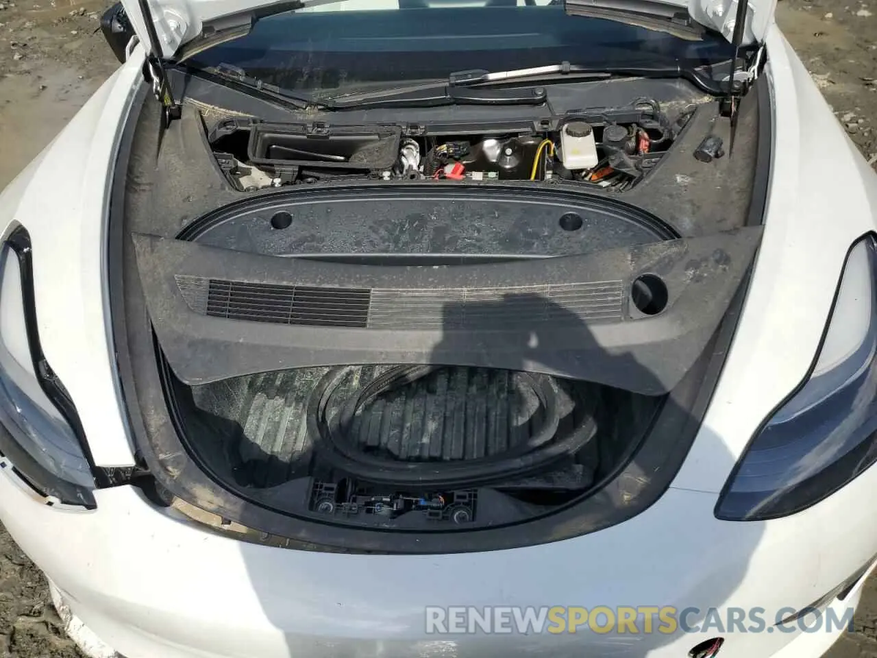 12 fotografías del automóvil dañado 5YJ3E1EA2PF541830 TESLA MODEL 3 2023