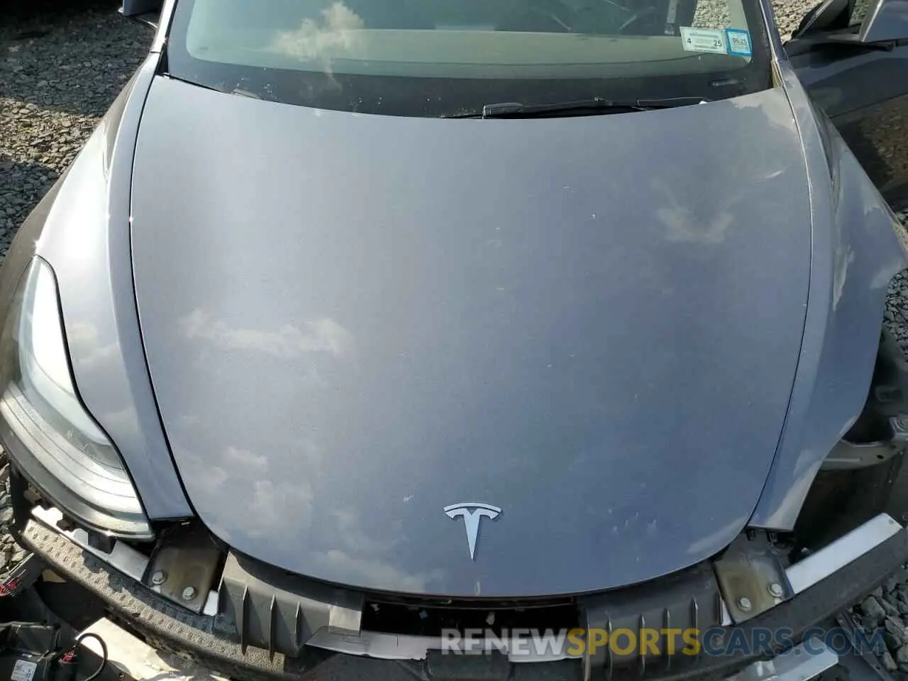 11 fotografías del automóvil dañado 5YJ3E1EA2PF544386 TESLA MODEL 3 2023