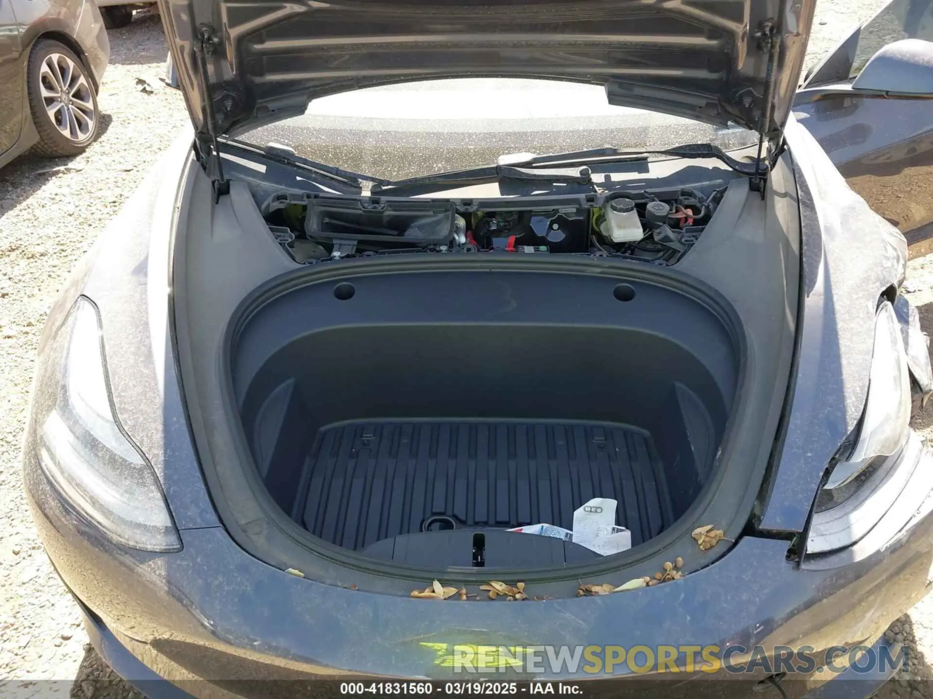 10 fotografías del automóvil dañado 5YJ3E1EA2PF569644 TESLA MODEL 3 2023