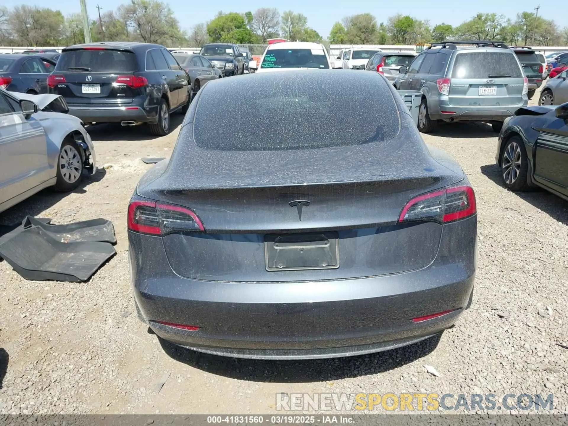 15 fotografías del automóvil dañado 5YJ3E1EA2PF569644 TESLA MODEL 3 2023