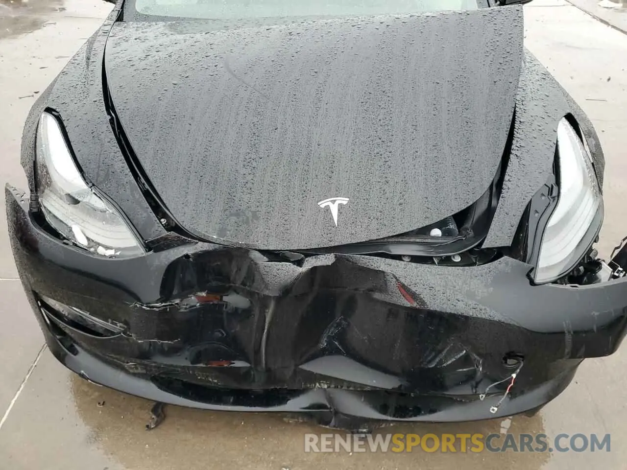 11 fotografías del automóvil dañado 5YJ3E1EA2PF575945 TESLA MODEL 3 2023