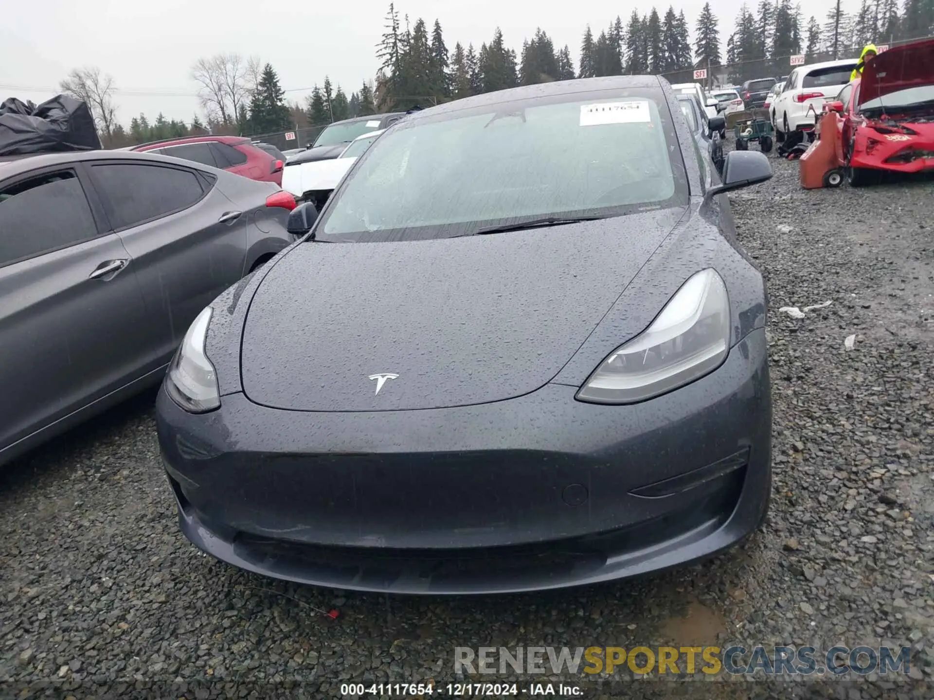 12 fotografías del automóvil dañado 5YJ3E1EA2PF619183 TESLA MODEL 3 2023