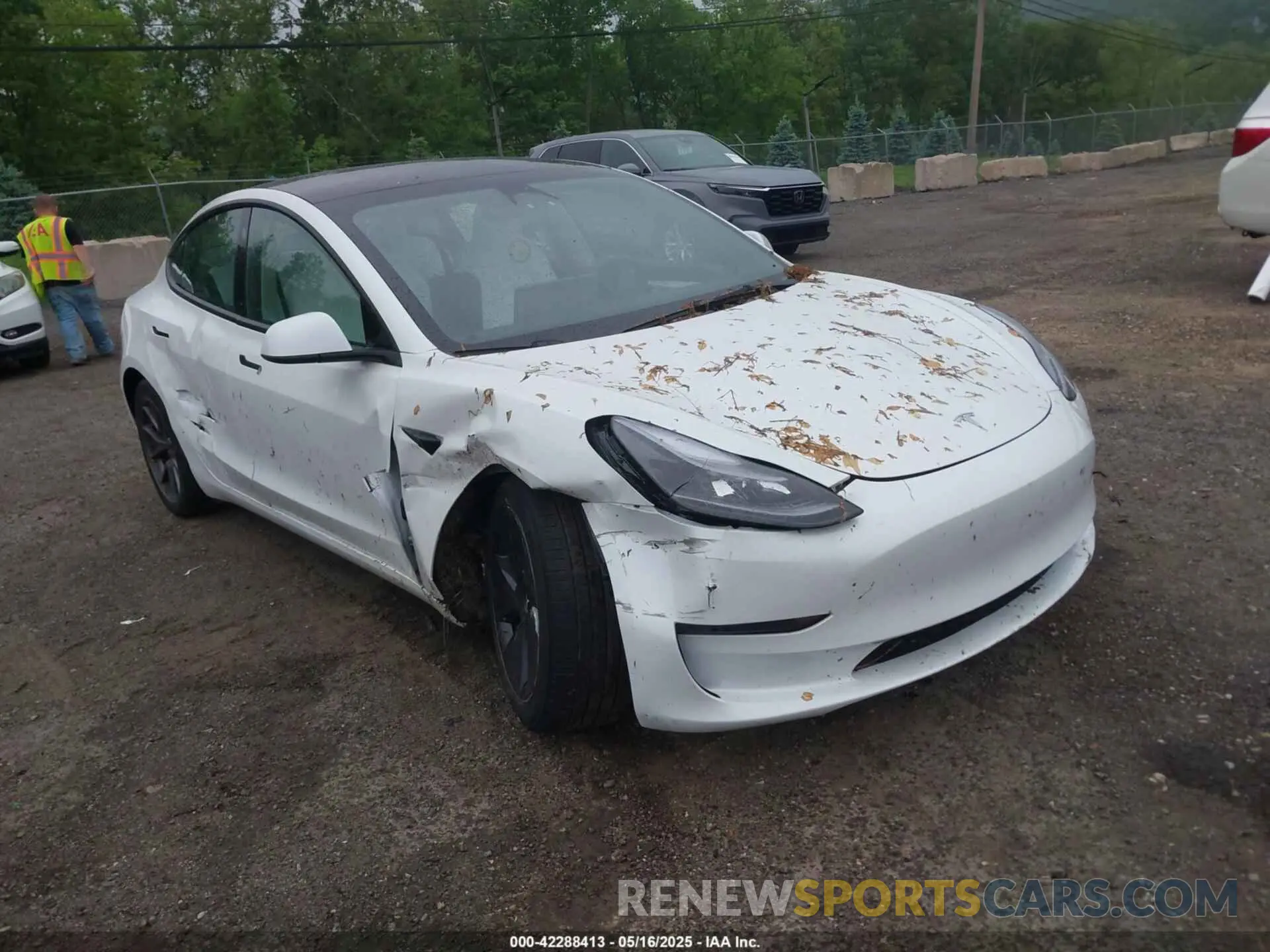 1 fotografías del automóvil dañado 5YJ3E1EA2PF626392 TESLA MODEL 3 2023