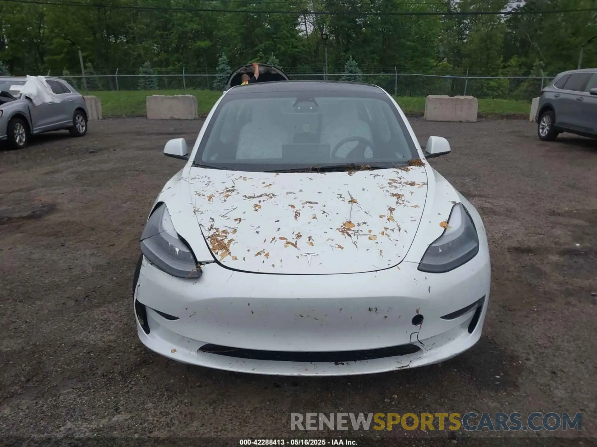 12 fotografías del automóvil dañado 5YJ3E1EA2PF626392 TESLA MODEL 3 2023