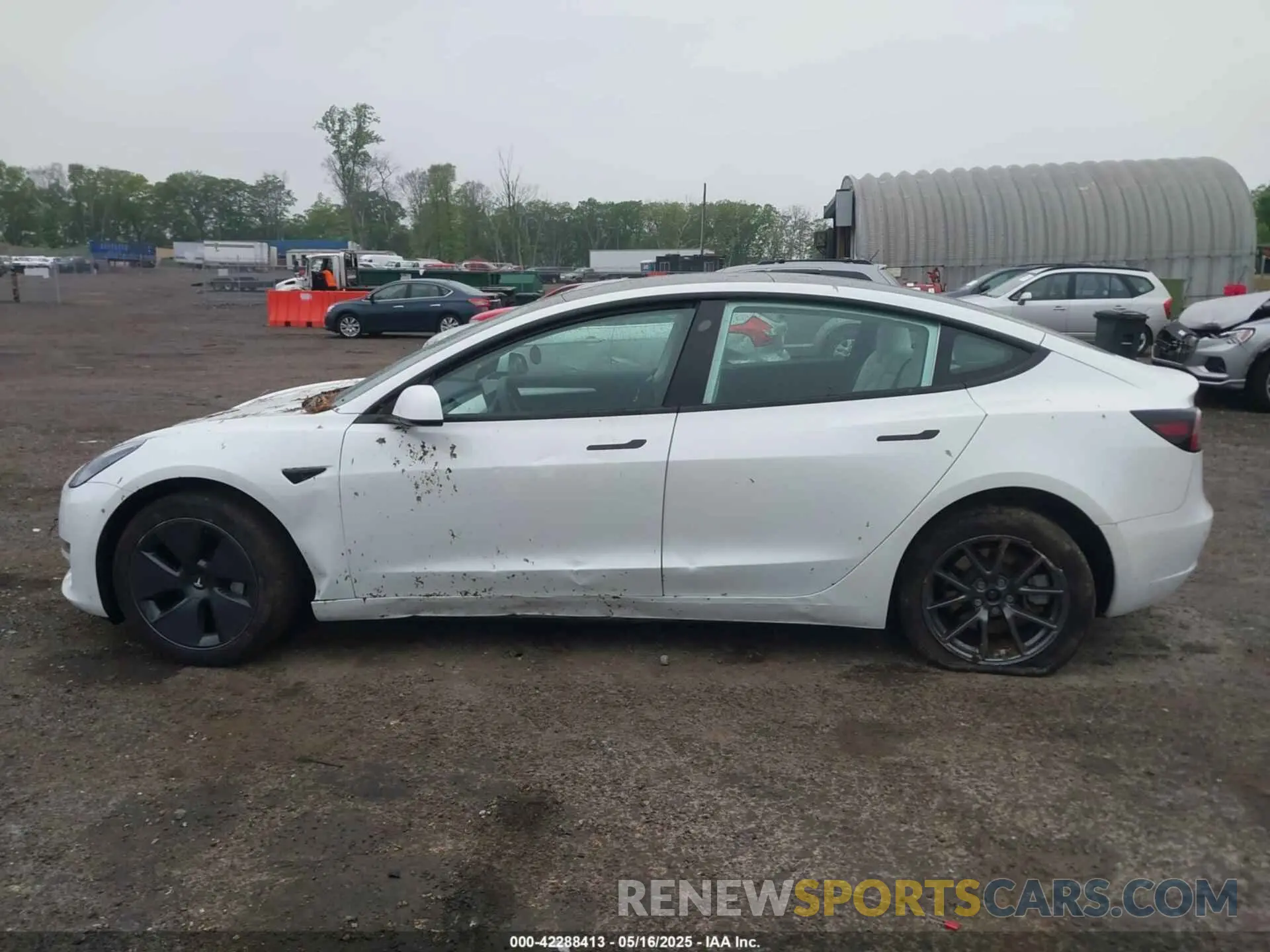 14 fotografías del automóvil dañado 5YJ3E1EA2PF626392 TESLA MODEL 3 2023