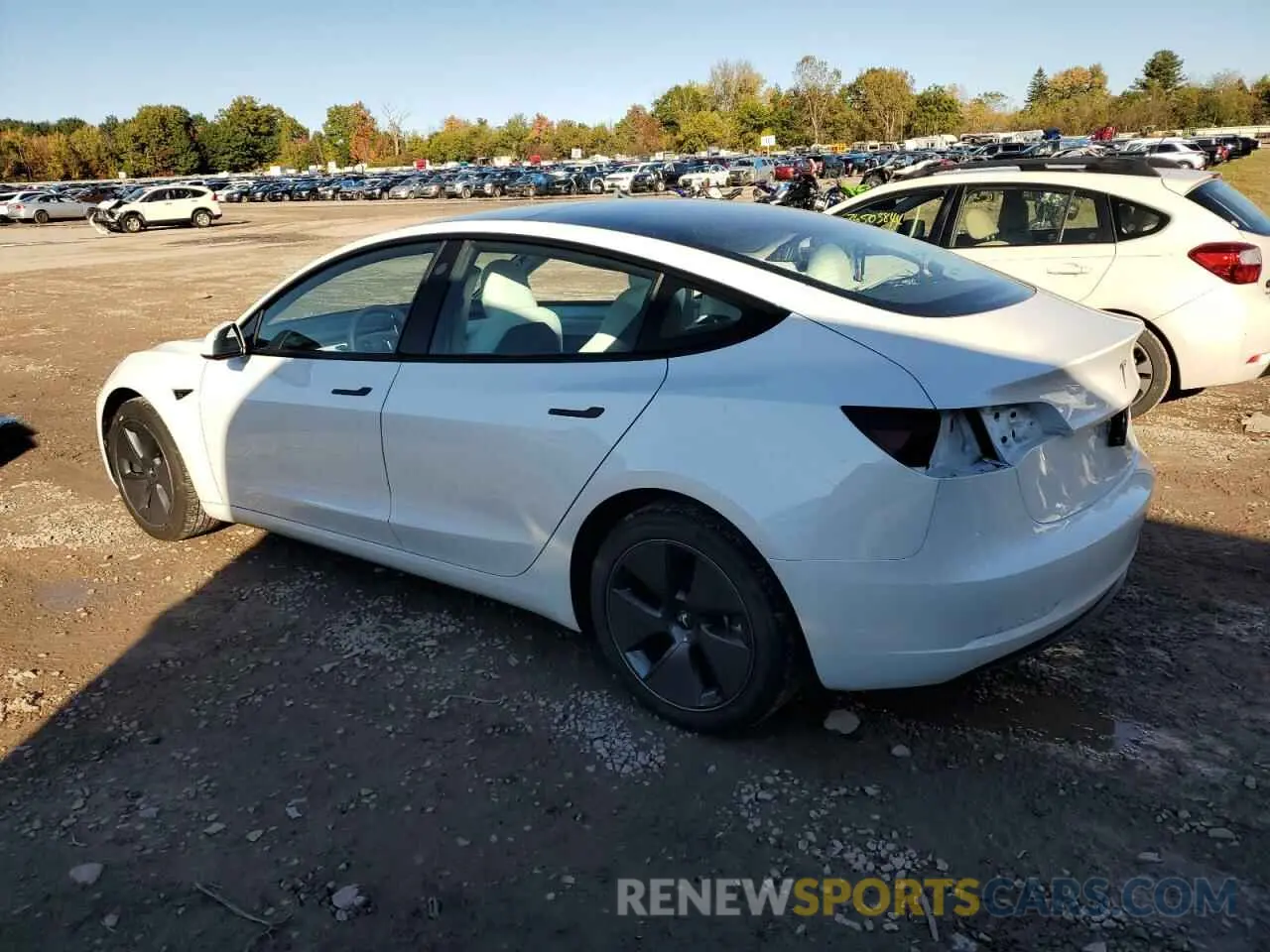2 fotografías del automóvil dañado 5YJ3E1EA2PF642186 TESLA MODEL 3 2023