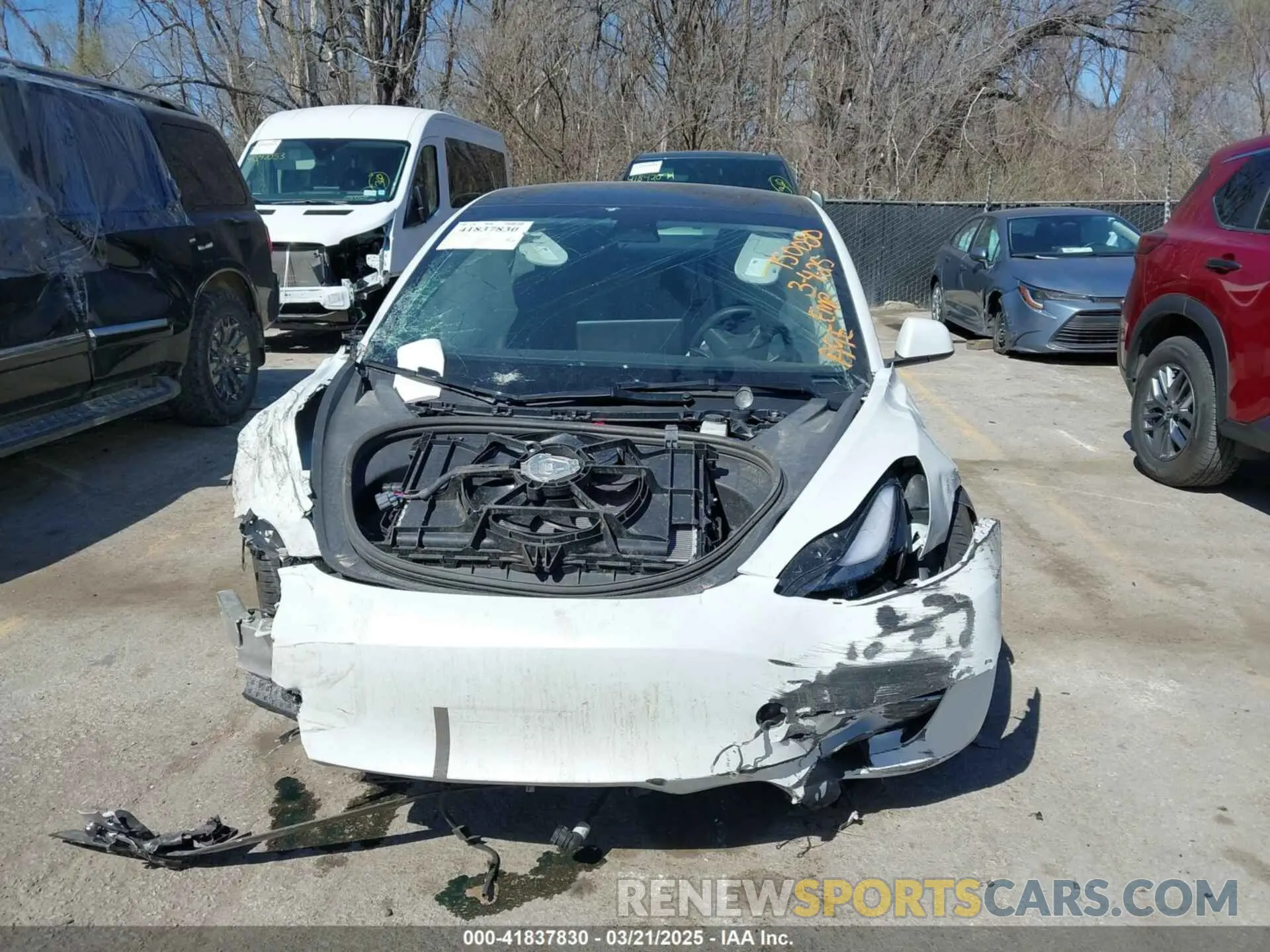 11 fotografías del automóvil dañado 5YJ3E1EA2PF652961 TESLA MODEL 3 2023