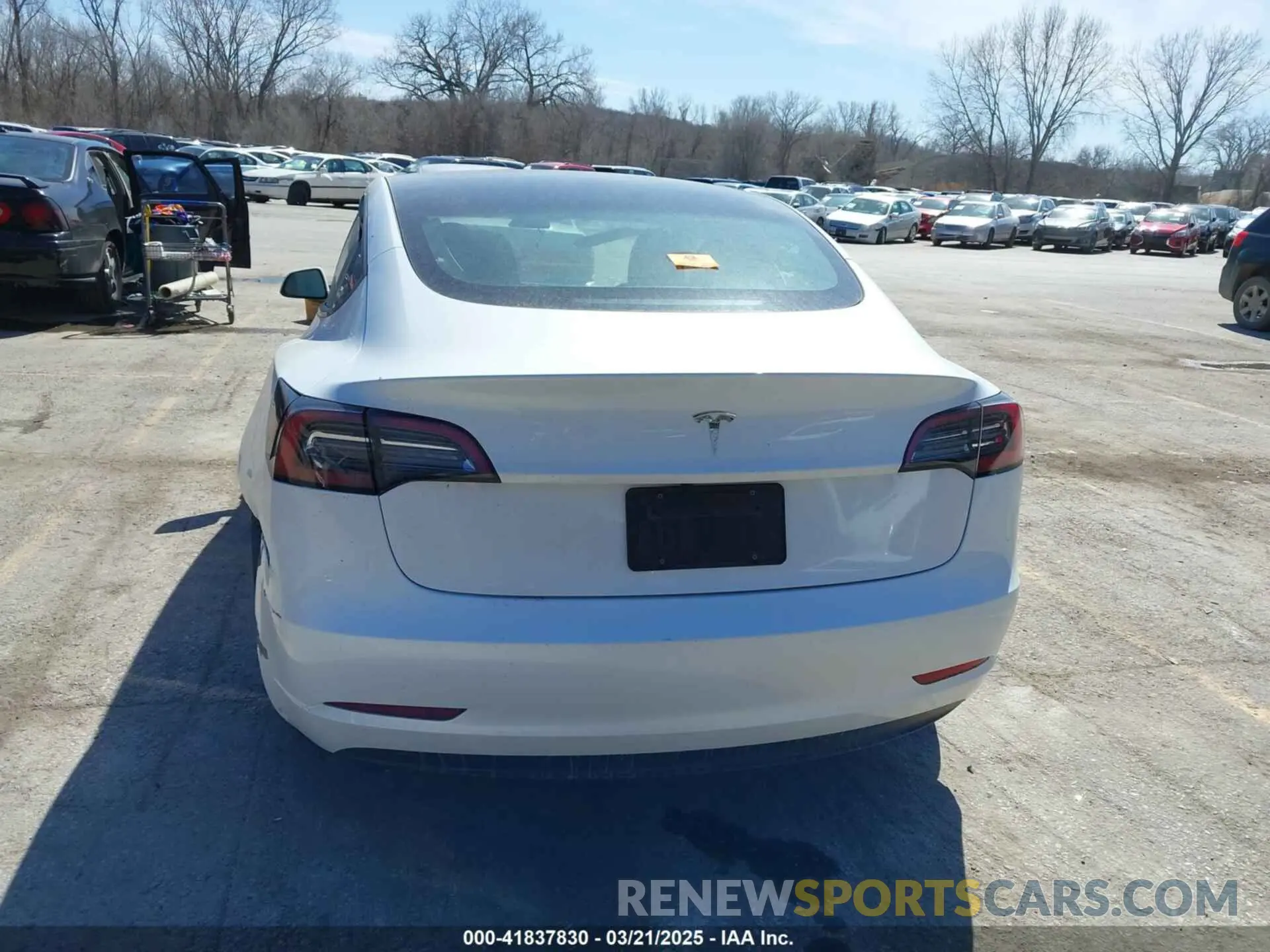 15 fotografías del automóvil dañado 5YJ3E1EA2PF652961 TESLA MODEL 3 2023