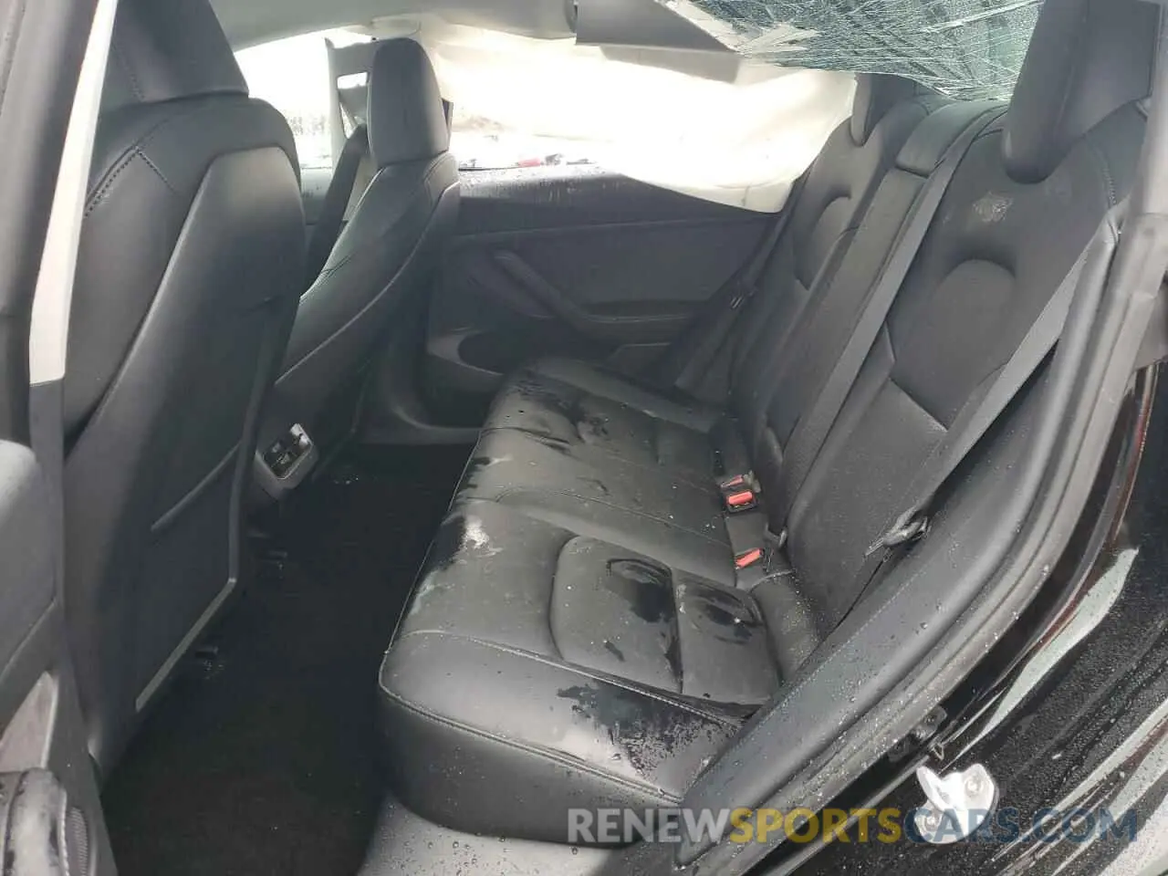 11 fotografías del automóvil dañado 5YJ3E1EA2PF671865 TESLA MODEL 3 2023