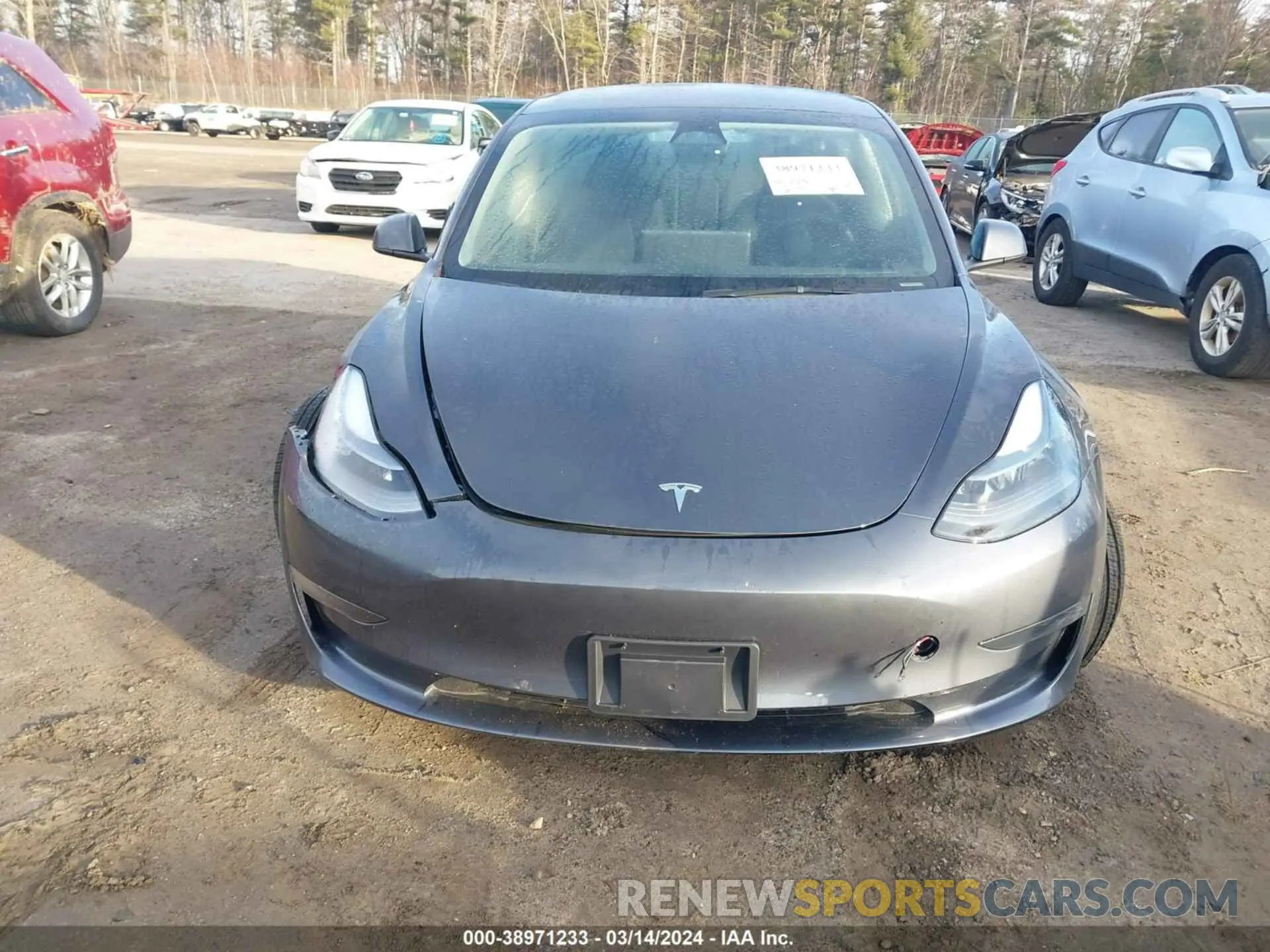 12 fotografías del automóvil dañado 5YJ3E1EA2PF684034 TESLA MODEL 3 2023
