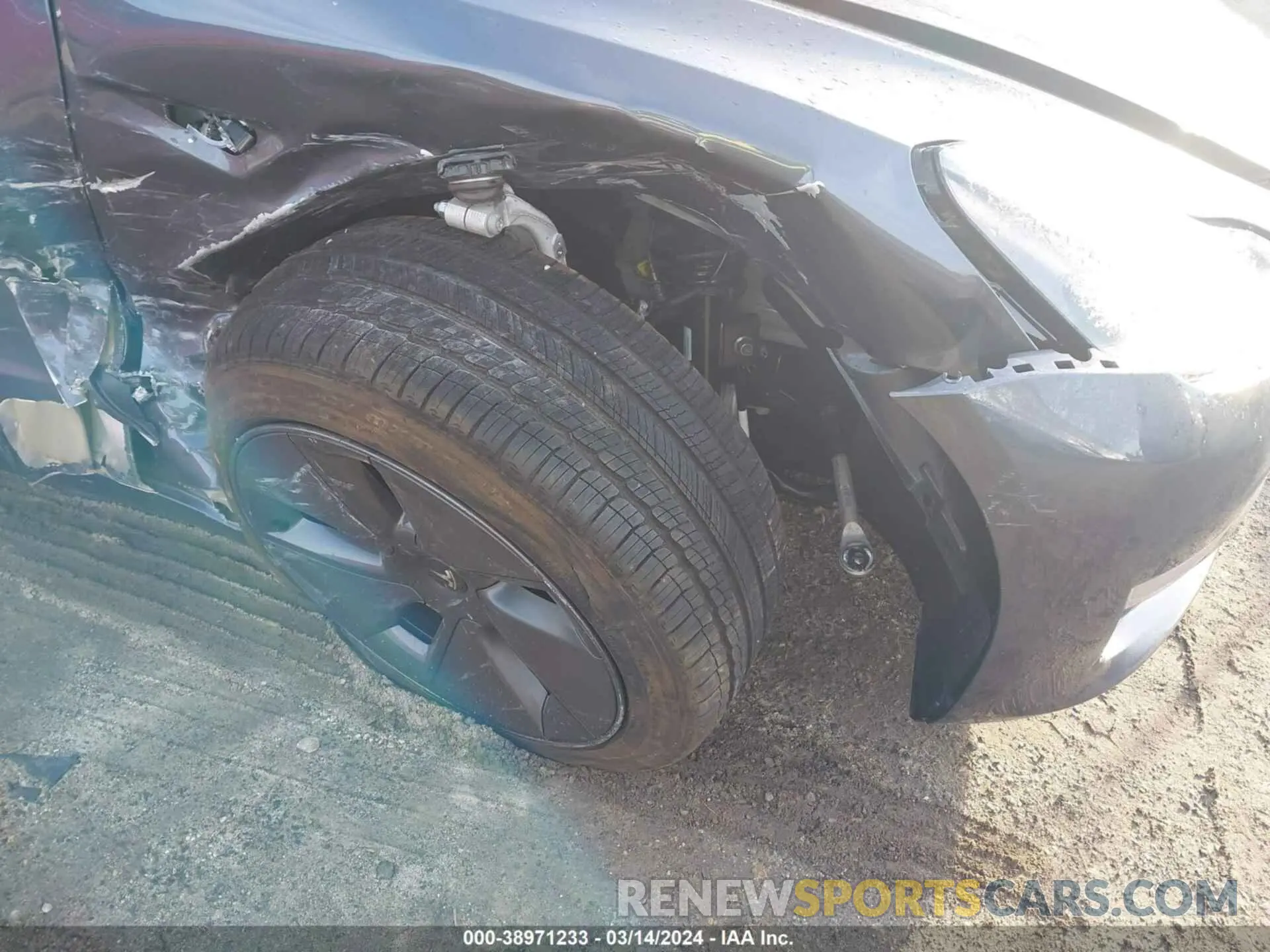 19 fotografías del automóvil dañado 5YJ3E1EA2PF684034 TESLA MODEL 3 2023
