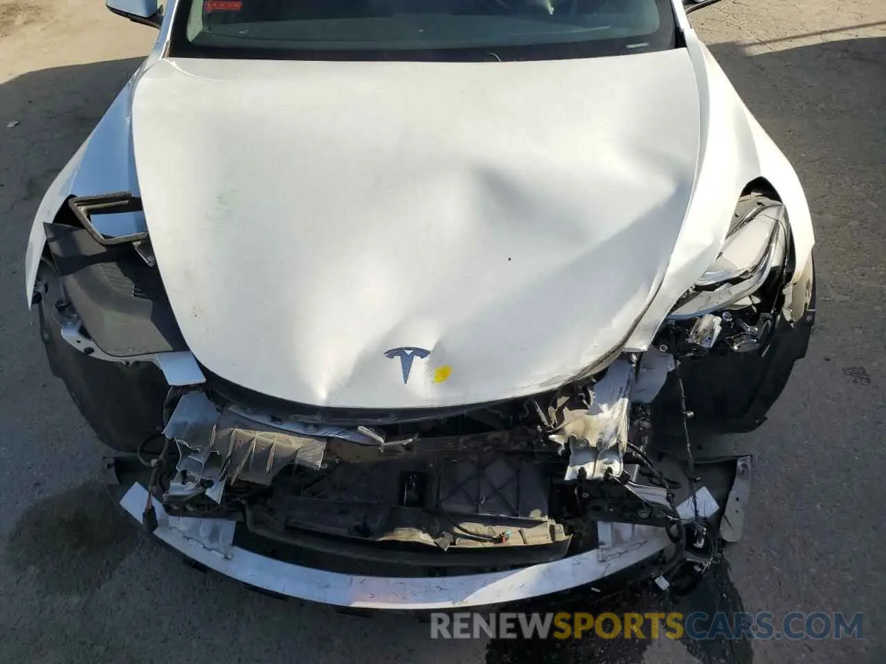 11 fotografías del automóvil dañado 5YJ3E1EA3PF383224 TESLA MODEL 3 2023