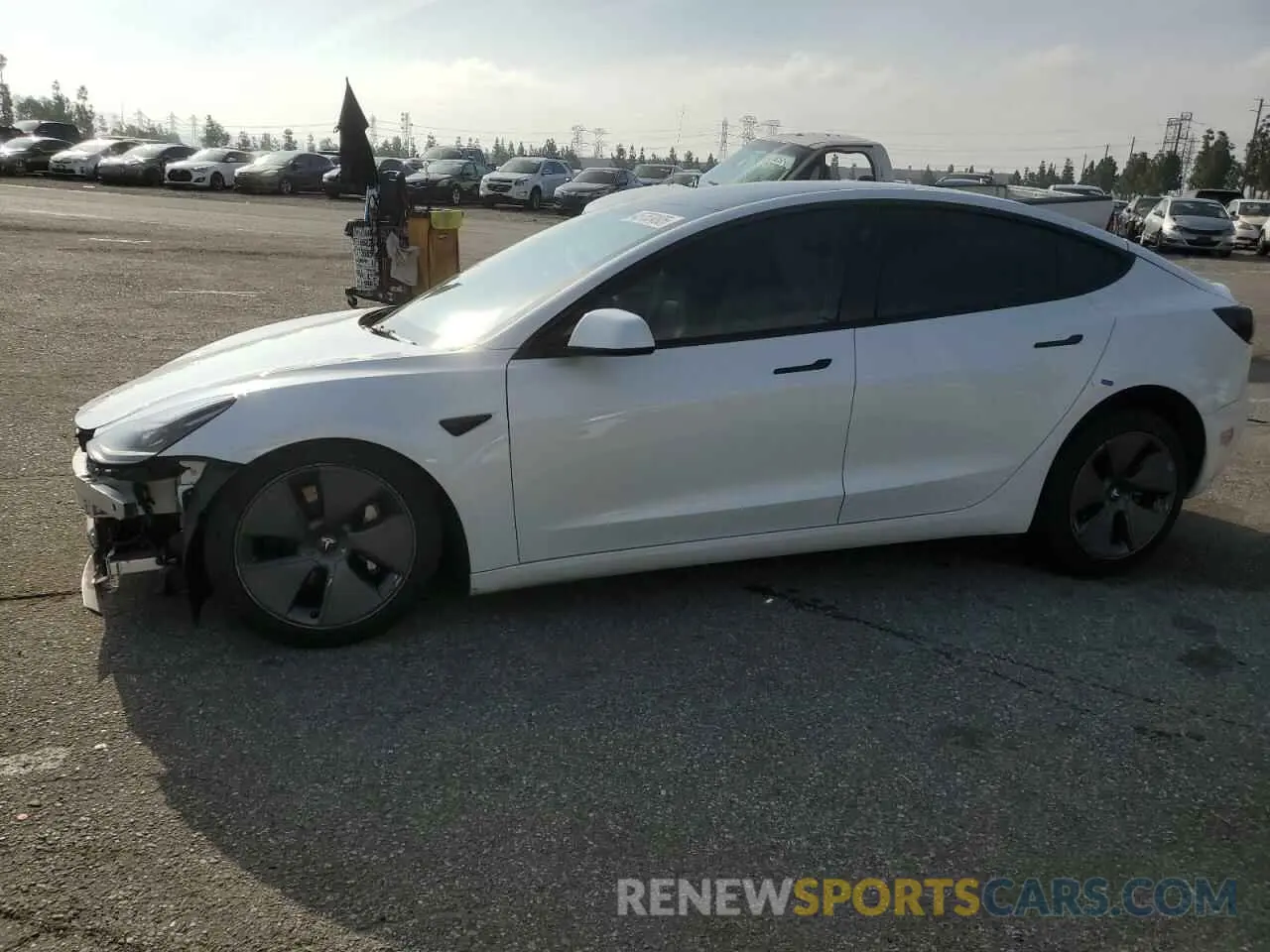 1 fotografías del automóvil dañado 5YJ3E1EA3PF409112 TESLA MODEL 3 2023