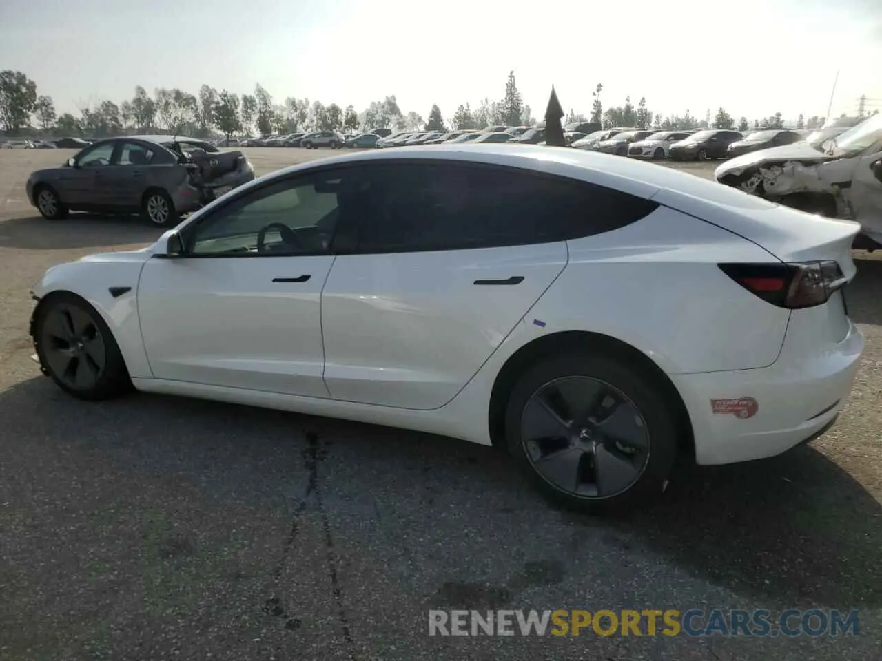 2 fotografías del automóvil dañado 5YJ3E1EA3PF409112 TESLA MODEL 3 2023