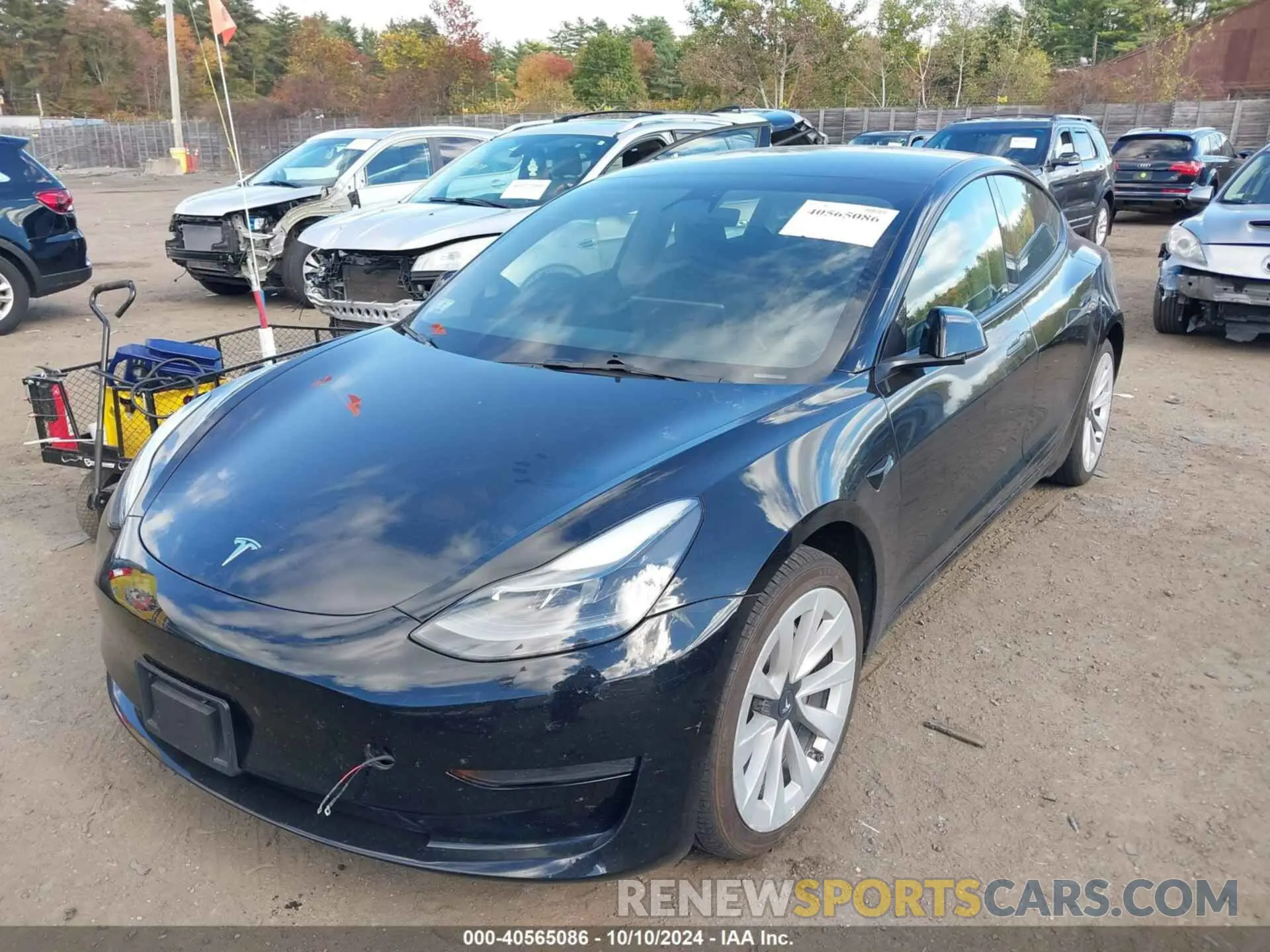 2 fotografías del automóvil dañado 5YJ3E1EA3PF451201 TESLA MODEL 3 2023