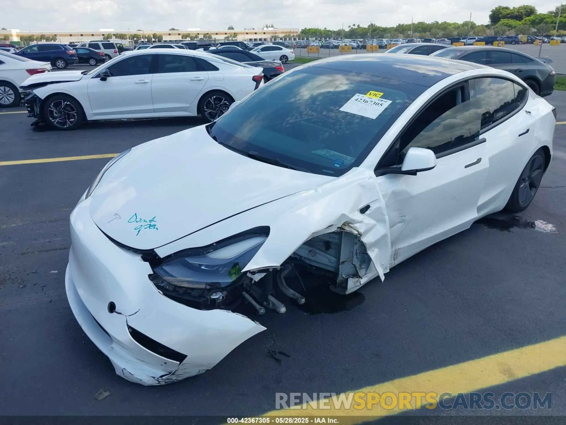 6 fotografías del automóvil dañado 5YJ3E1EA3PF489477 TESLA MODEL 3 2023