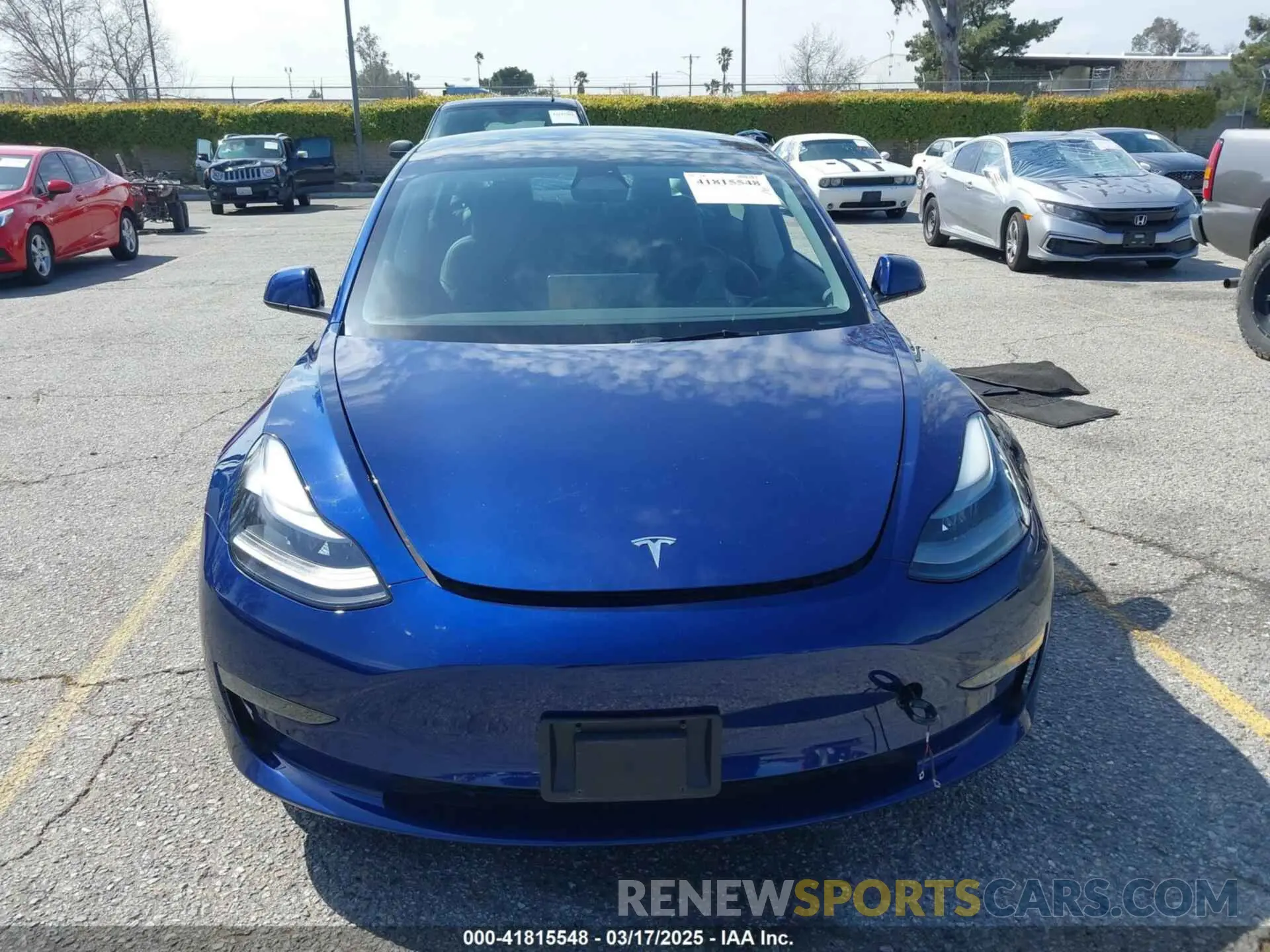 12 fotografías del automóvil dañado 5YJ3E1EA3PF541271 TESLA MODEL 3 2023