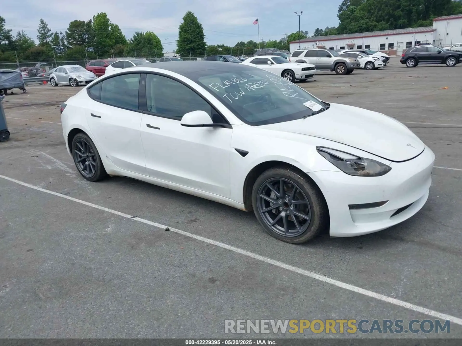 1 fotografías del automóvil dañado 5YJ3E1EA3PF556644 TESLA MODEL 3 2023