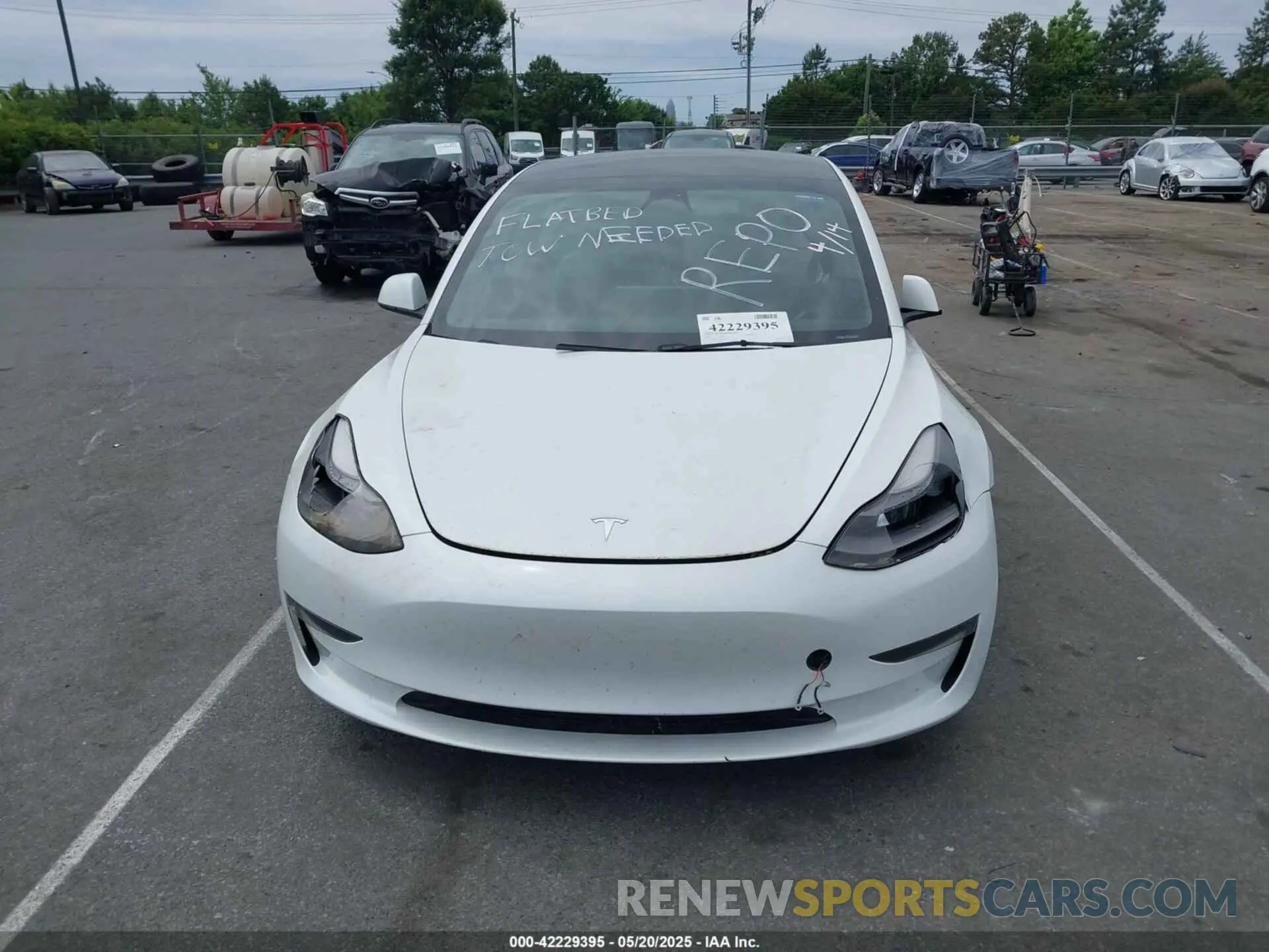 11 fotografías del automóvil dañado 5YJ3E1EA3PF556644 TESLA MODEL 3 2023