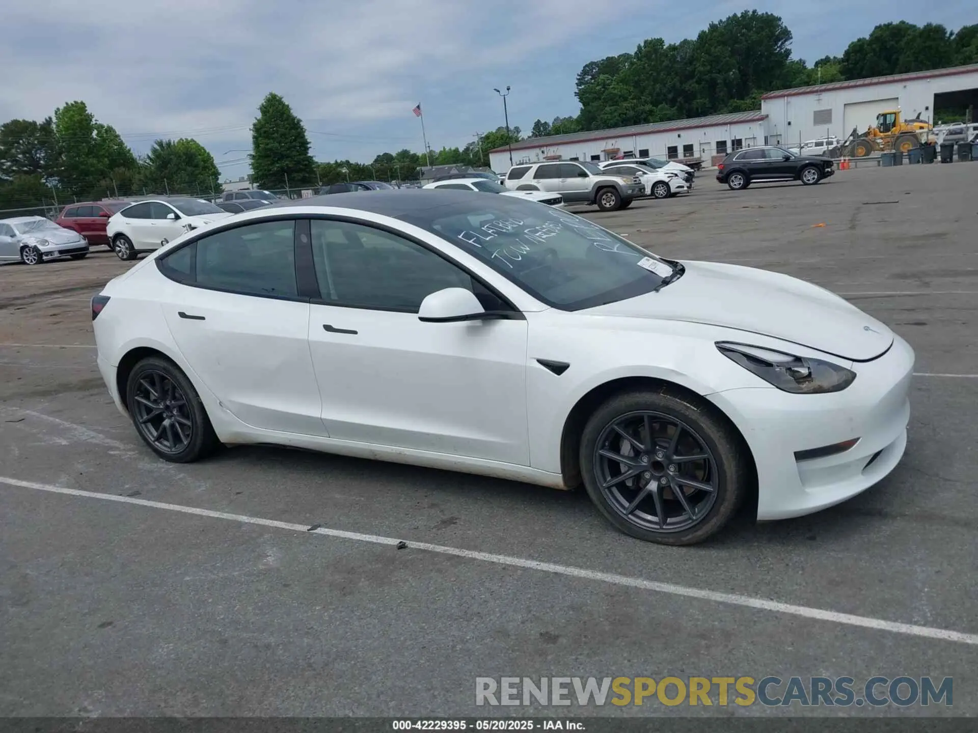 12 fotografías del automóvil dañado 5YJ3E1EA3PF556644 TESLA MODEL 3 2023
