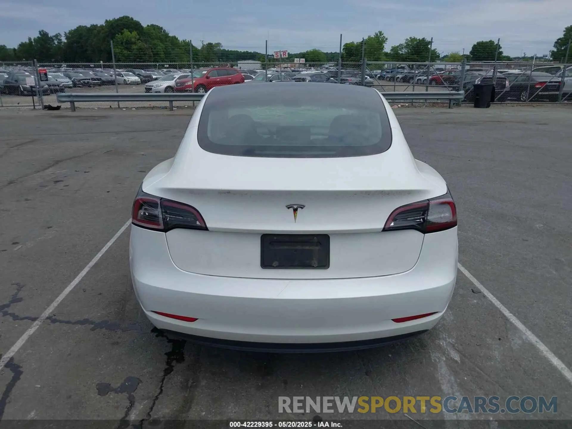 15 fotografías del automóvil dañado 5YJ3E1EA3PF556644 TESLA MODEL 3 2023