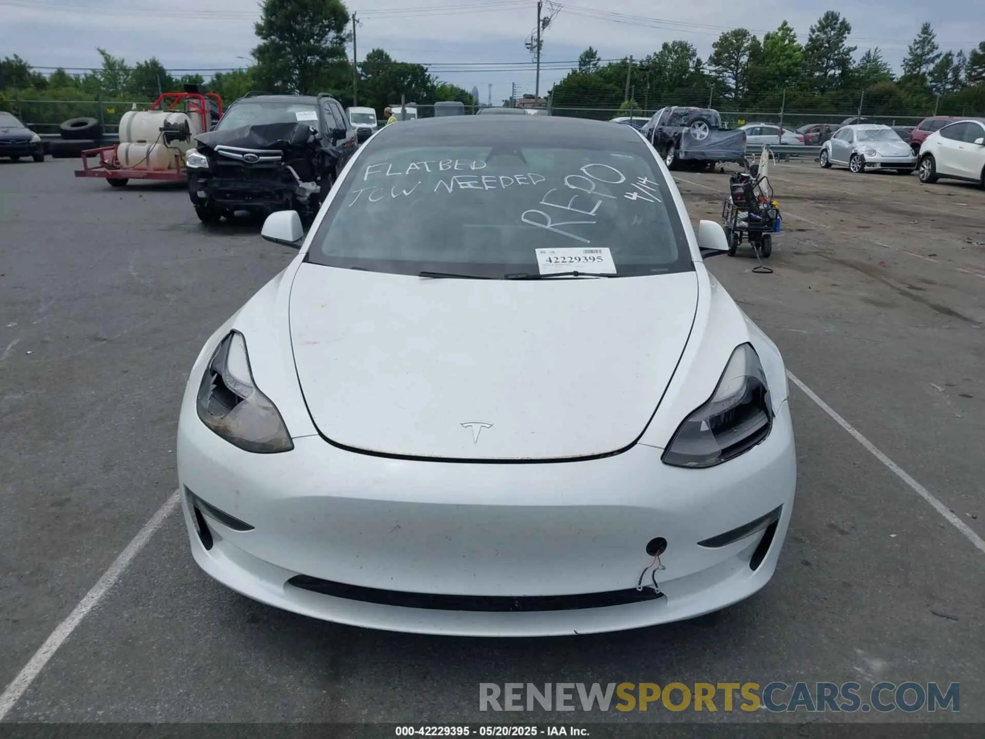 6 fotografías del automóvil dañado 5YJ3E1EA3PF556644 TESLA MODEL 3 2023
