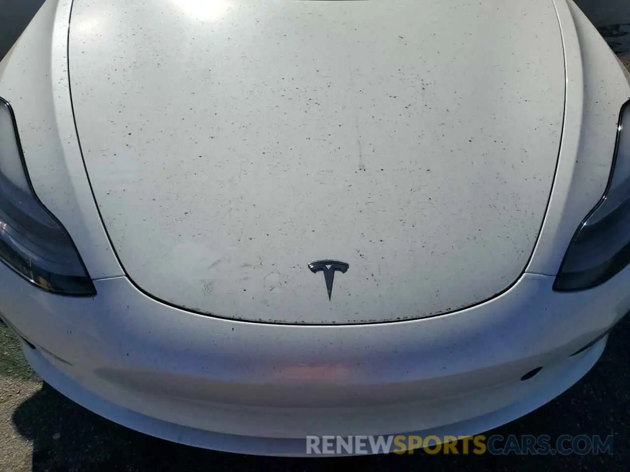 11 fotografías del automóvil dañado 5YJ3E1EA3PF614459 TESLA MODEL 3 2023