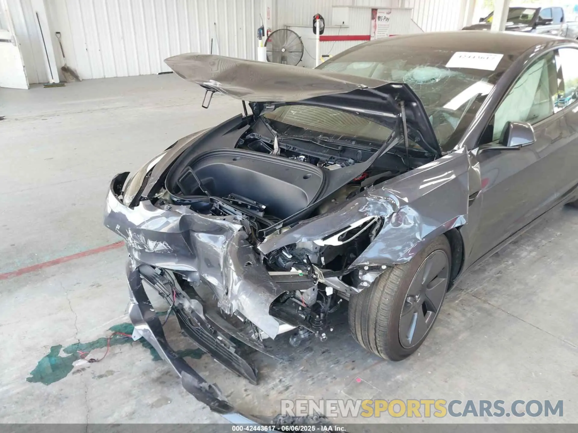 6 fotografías del automóvil dañado 5YJ3E1EA3PF618866 TESLA MODEL 3 2023