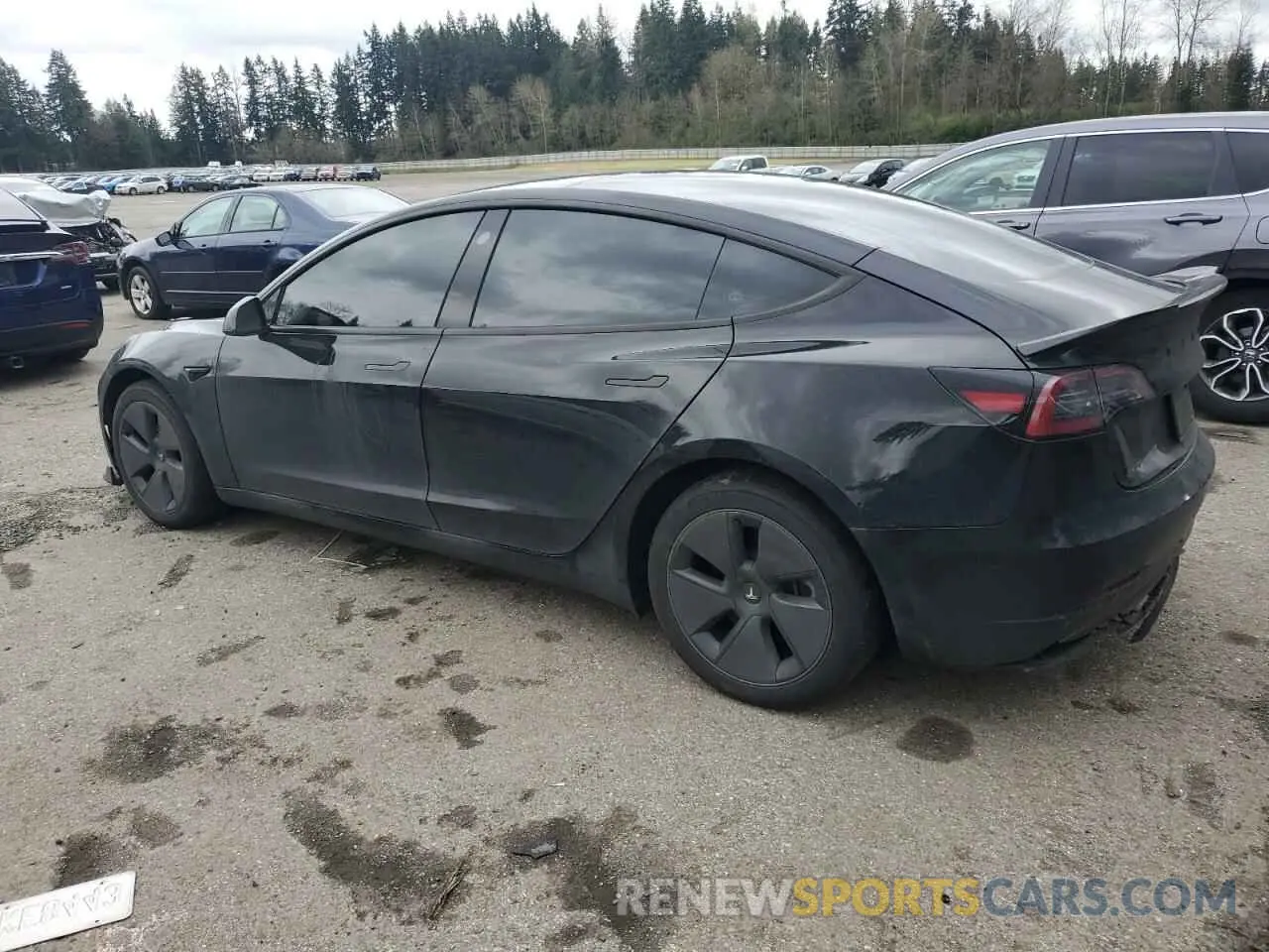 2 fotografías del automóvil dañado 5YJ3E1EA3PF644898 TESLA MODEL 3 2023