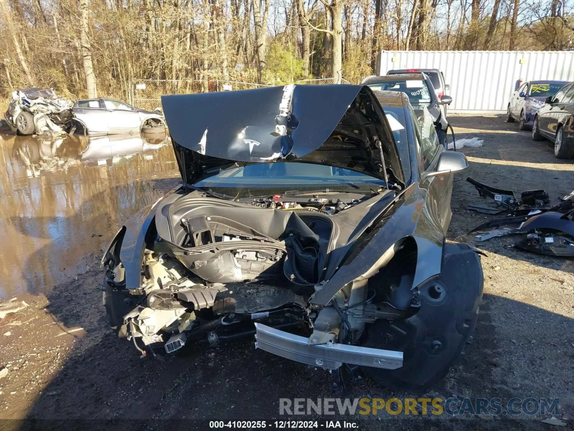 12 fotografías del automóvil dañado 5YJ3E1EA3PF668831 TESLA MODEL 3 2023