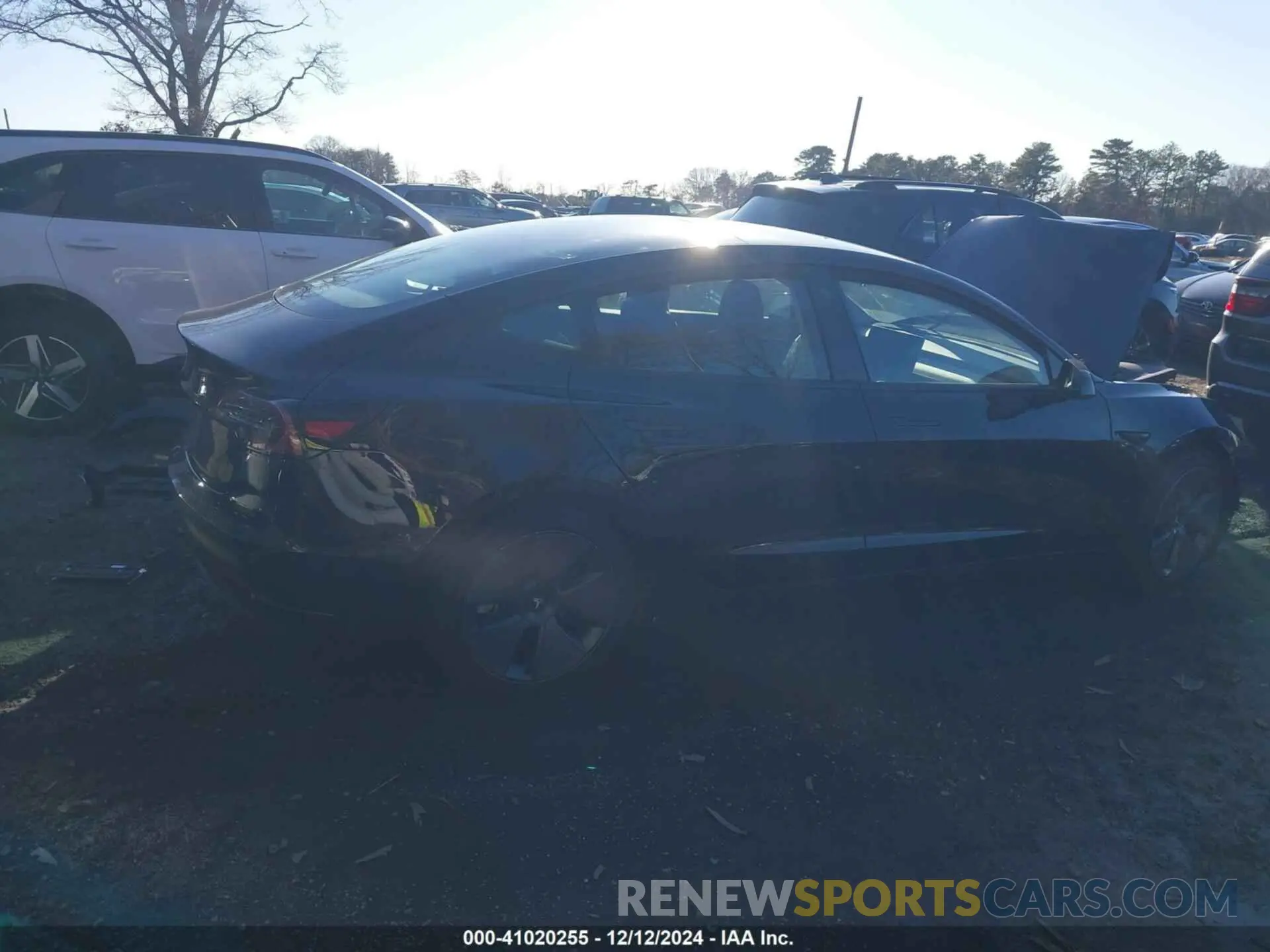 13 fotografías del automóvil dañado 5YJ3E1EA3PF668831 TESLA MODEL 3 2023