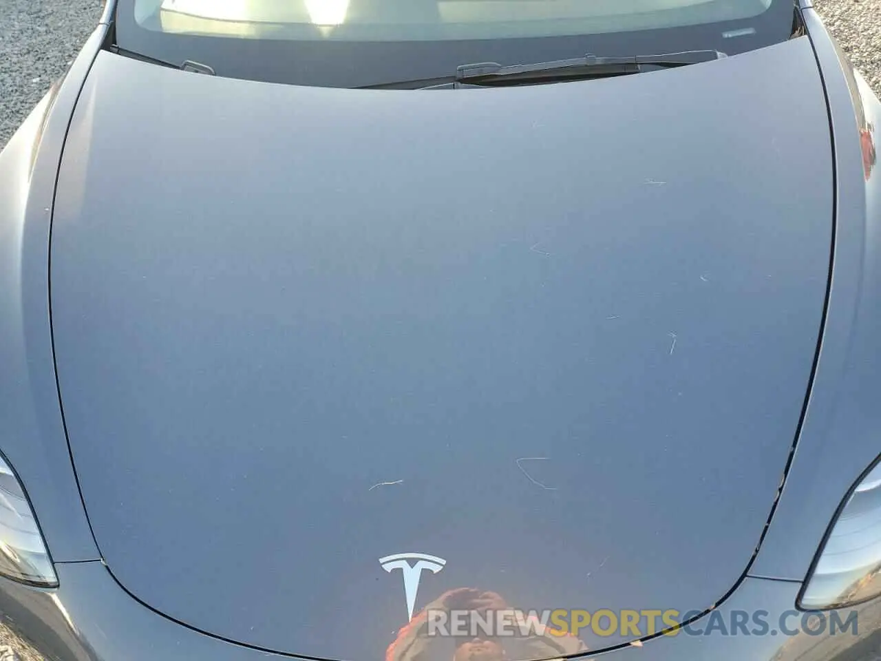 11 fotografías del automóvil dañado 5YJ3E1EA3PF692630 TESLA MODEL 3 2023