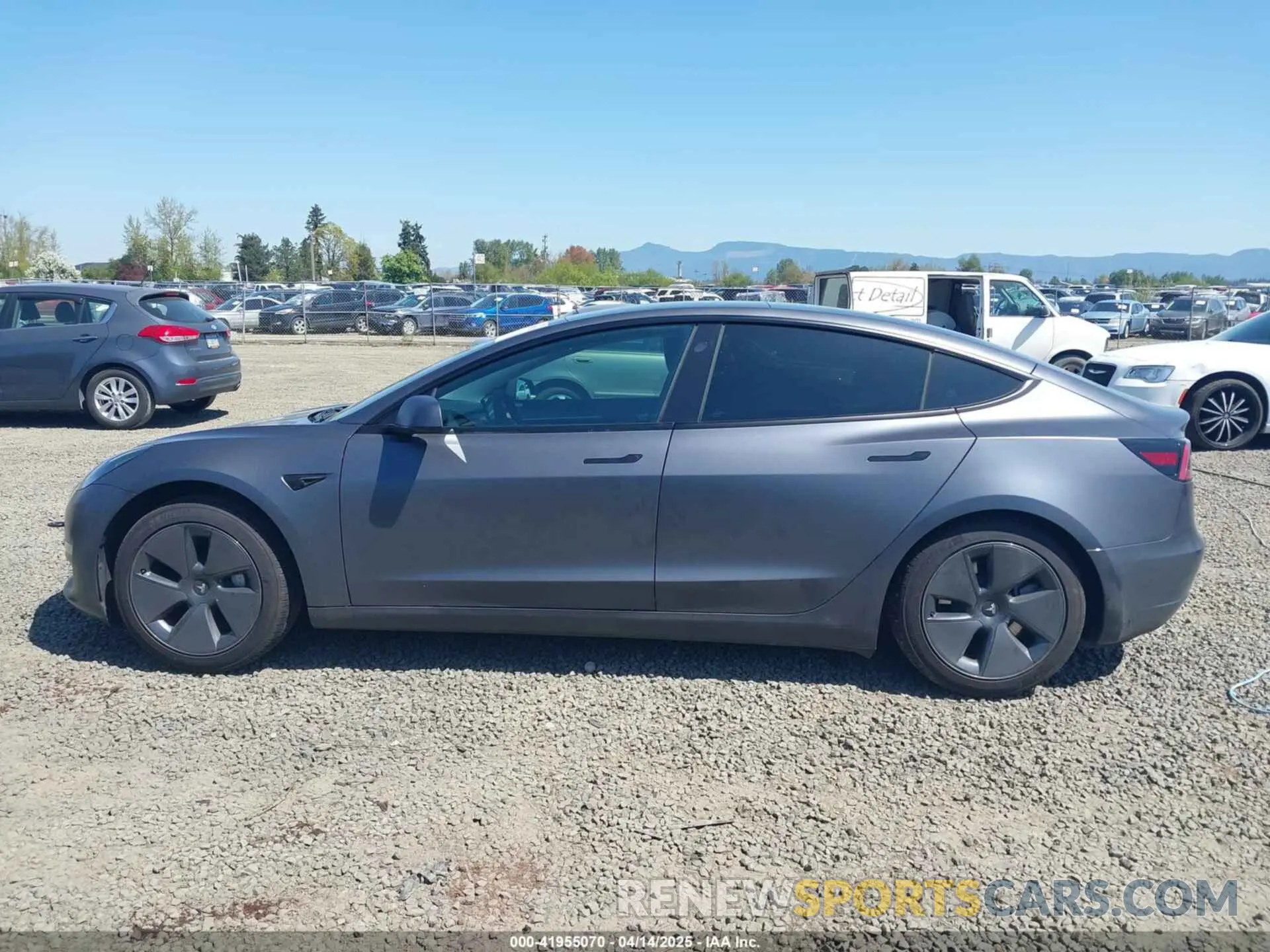 14 fotografías del automóvil dañado 5YJ3E1EA3PF705831 TESLA MODEL 3 2023