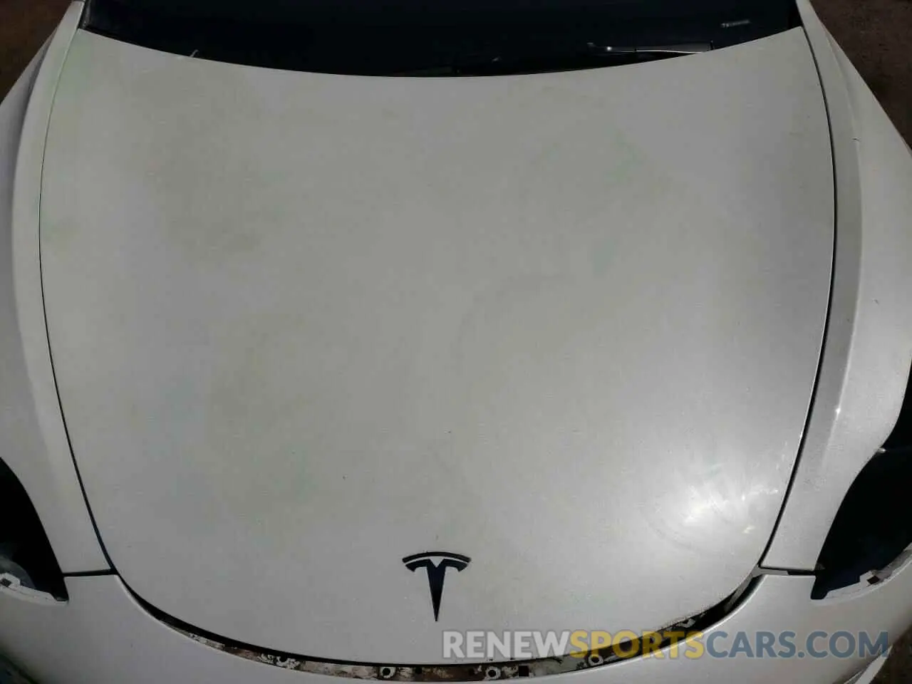 11 fotografías del automóvil dañado 5YJ3E1EA4PF398301 TESLA MODEL 3 2023