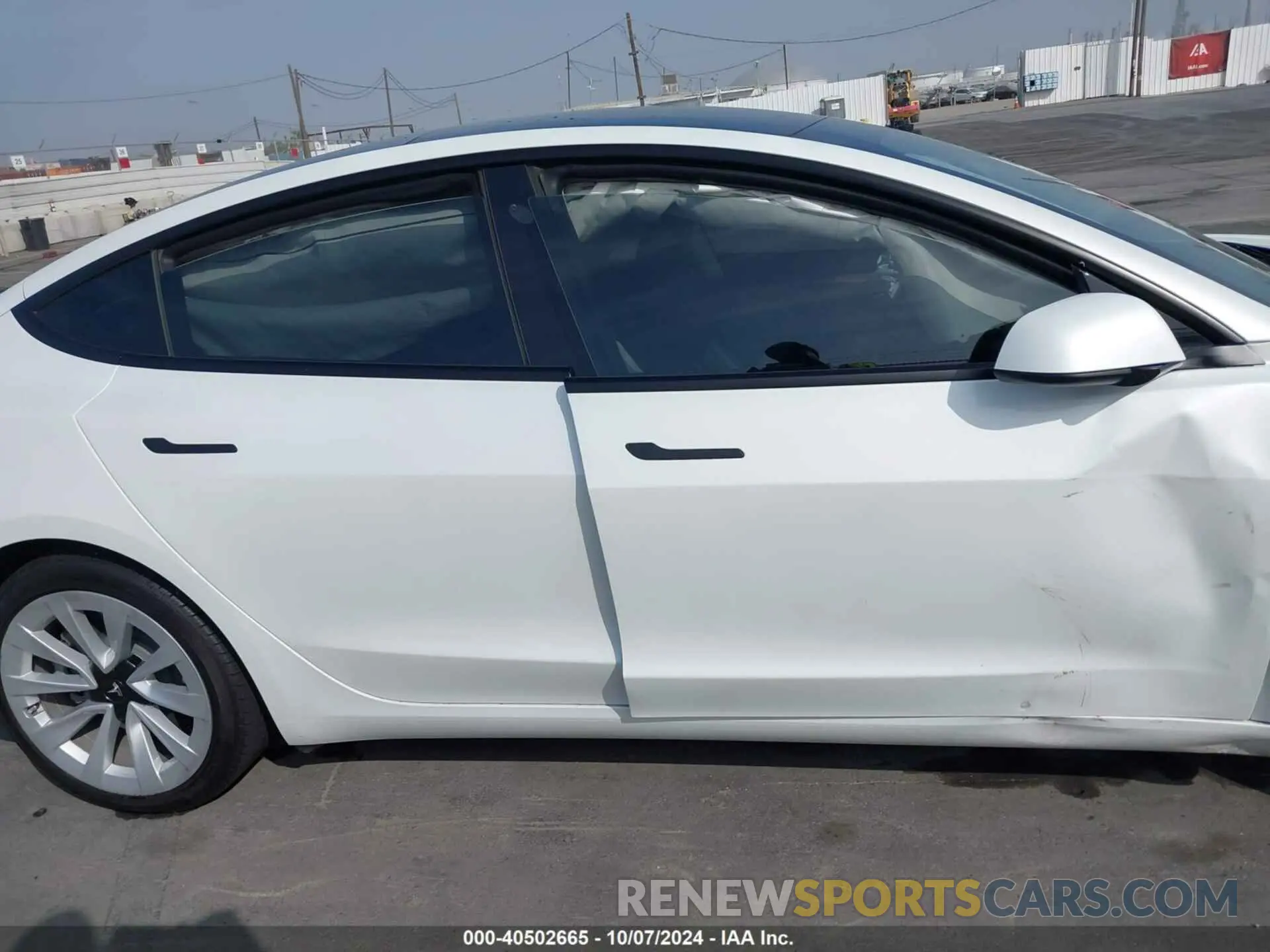 12 fotografías del automóvil dañado 5YJ3E1EA4PF402069 TESLA MODEL 3 2023