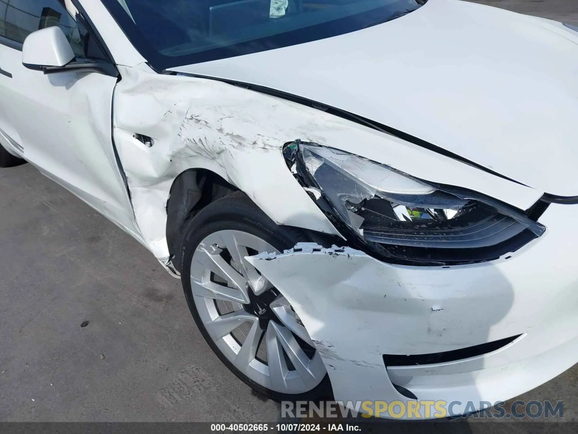 6 fotografías del automóvil dañado 5YJ3E1EA4PF402069 TESLA MODEL 3 2023