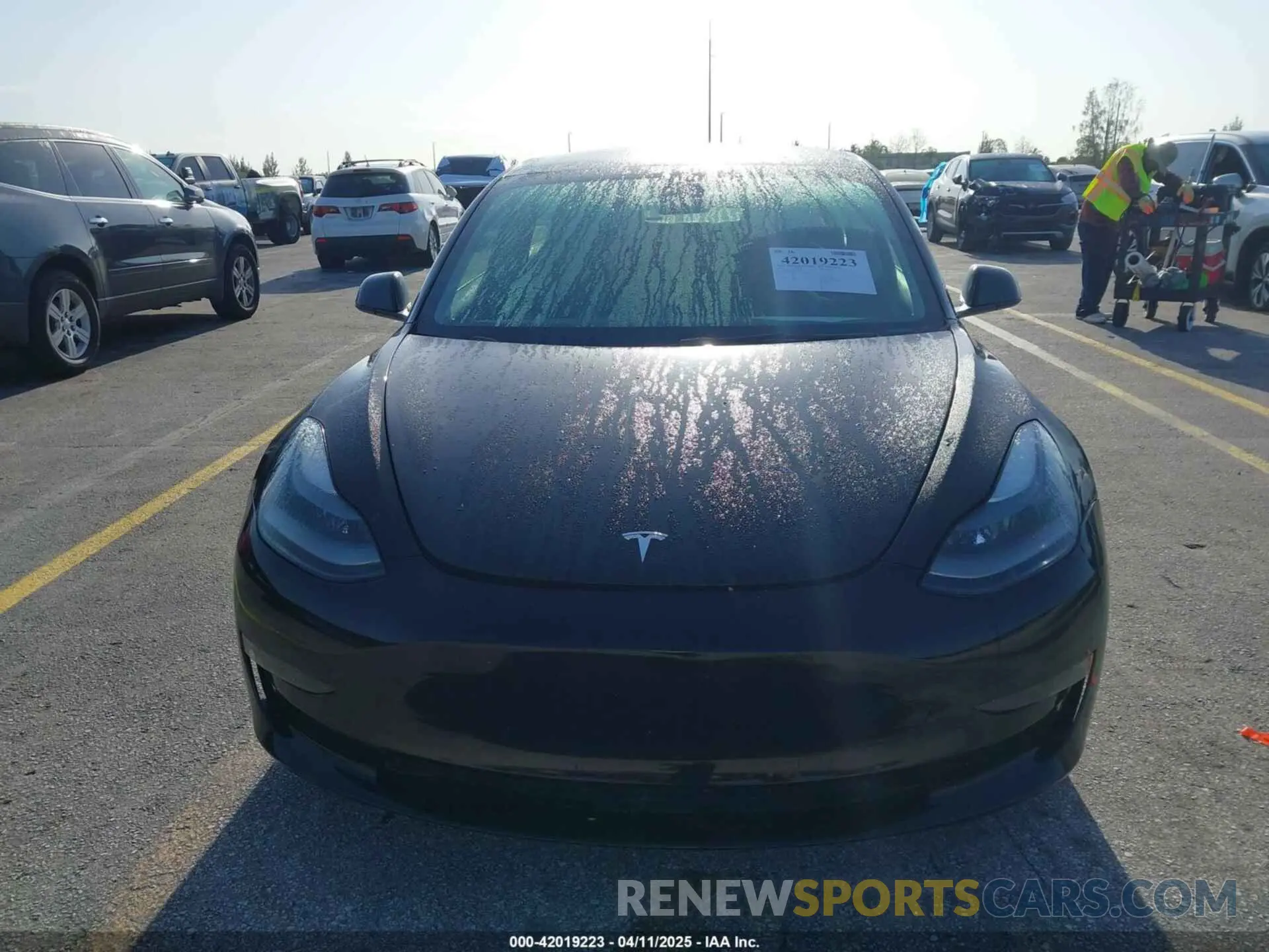 12 fotografías del automóvil dañado 5YJ3E1EA4PF433774 TESLA MODEL 3 2023