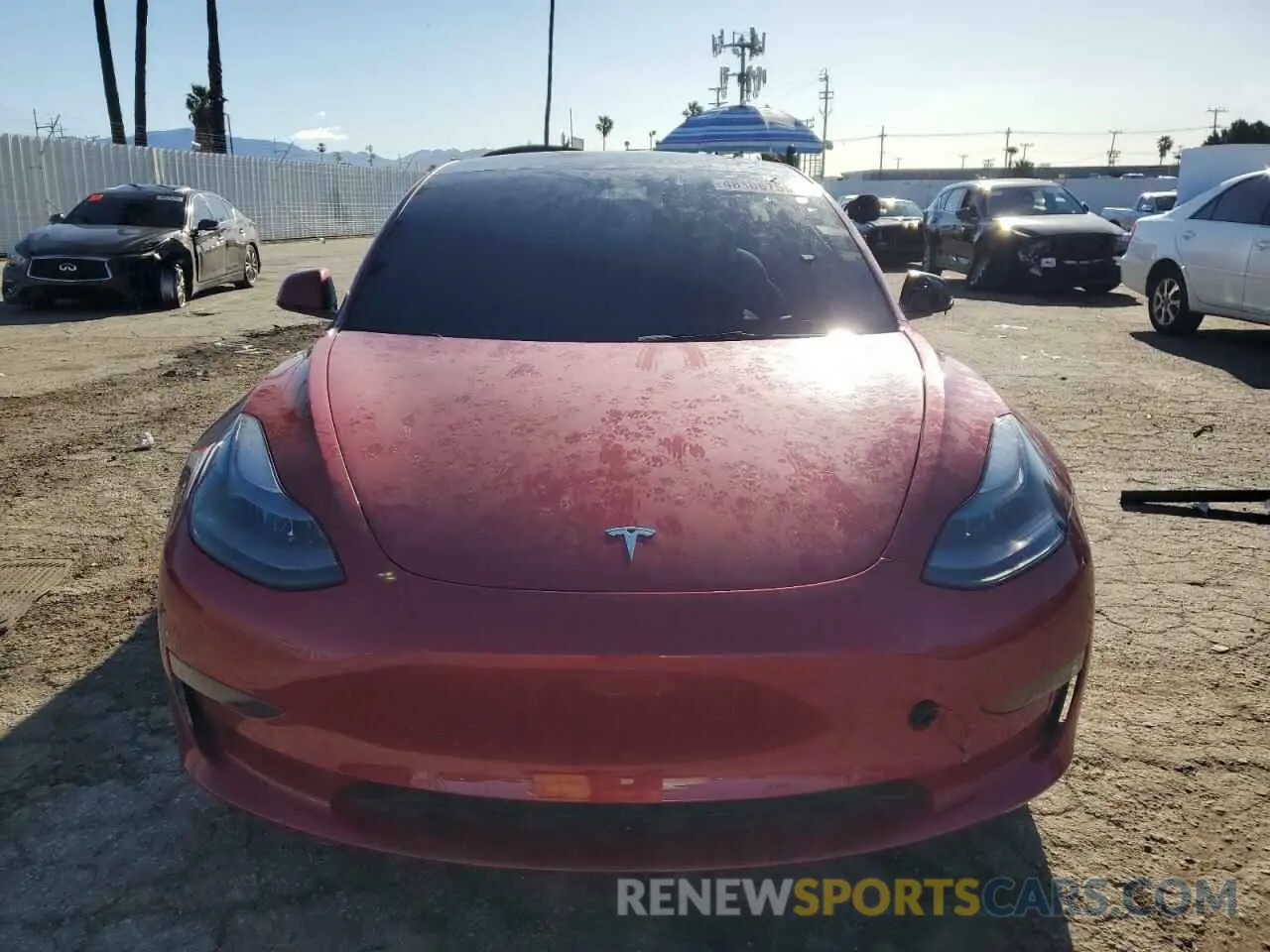 5 fotografías del automóvil dañado 5YJ3E1EA4PF449134 TESLA MODEL 3 2023