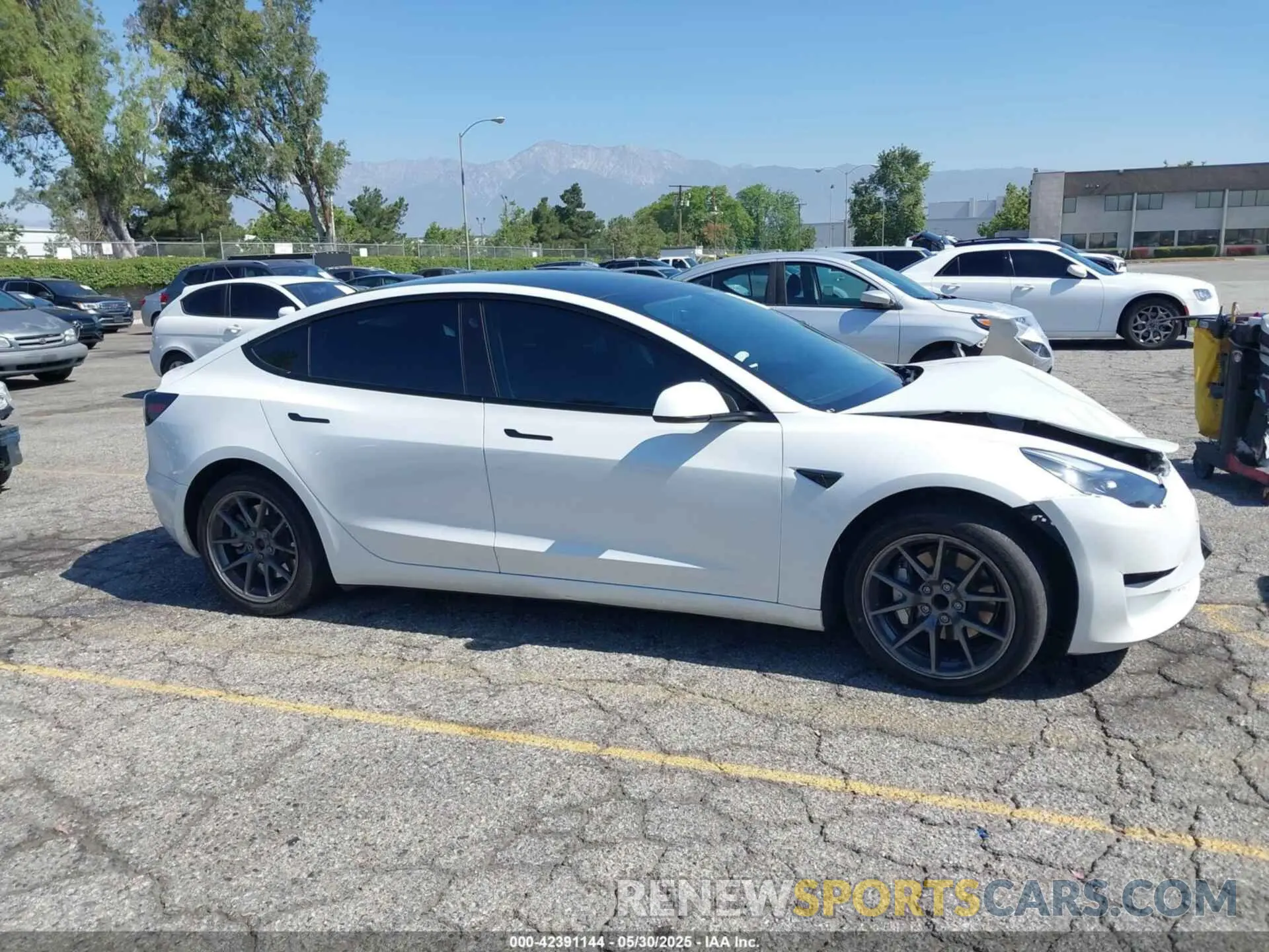 13 fotografías del automóvil dañado 5YJ3E1EA4PF453359 TESLA MODEL 3 2023