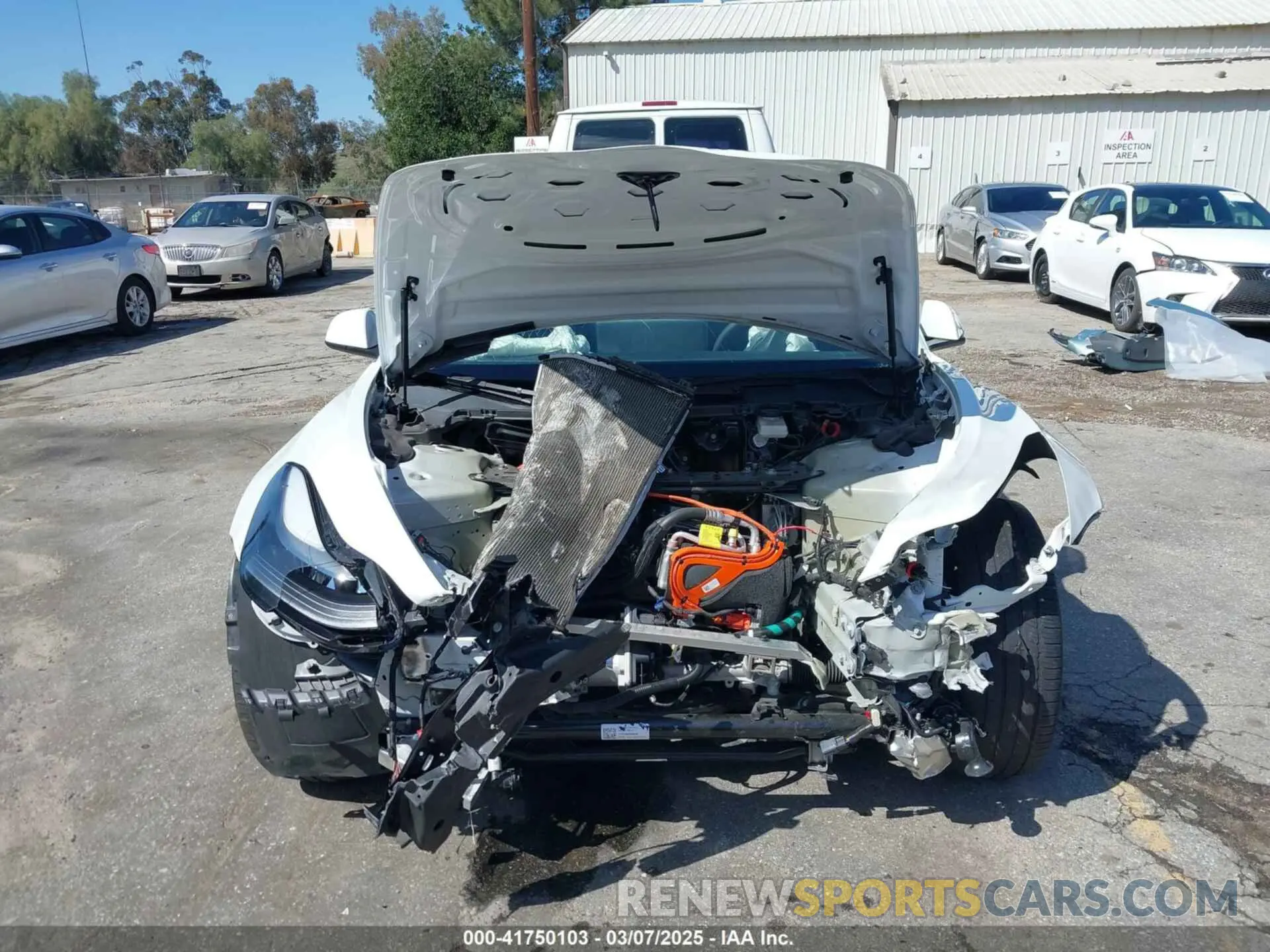 12 fotografías del automóvil dañado 5YJ3E1EA4PF462627 TESLA MODEL 3 2023