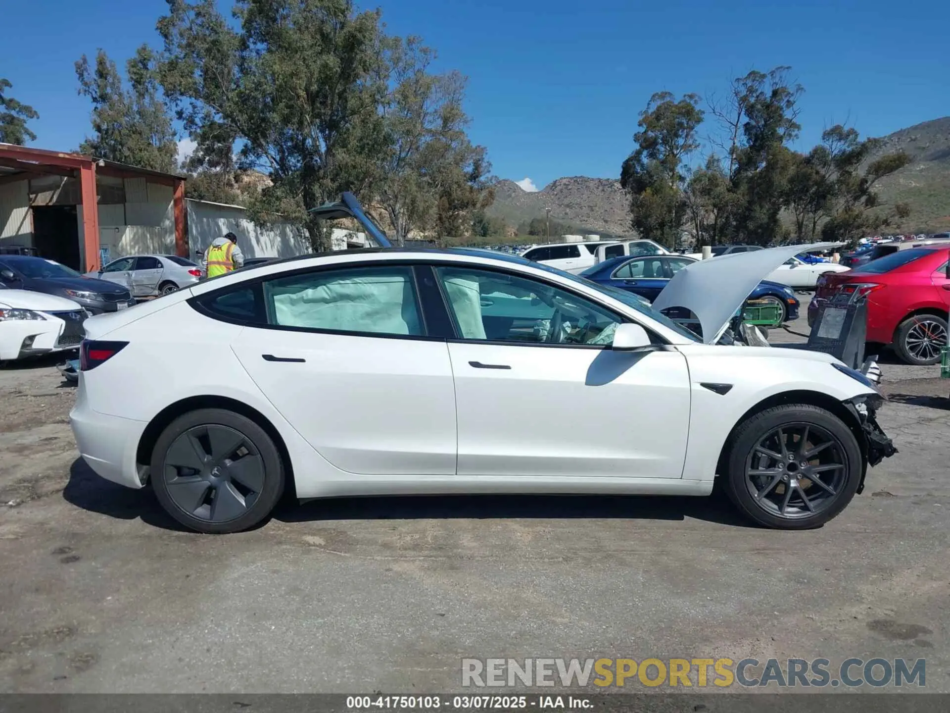 13 fotografías del automóvil dañado 5YJ3E1EA4PF462627 TESLA MODEL 3 2023